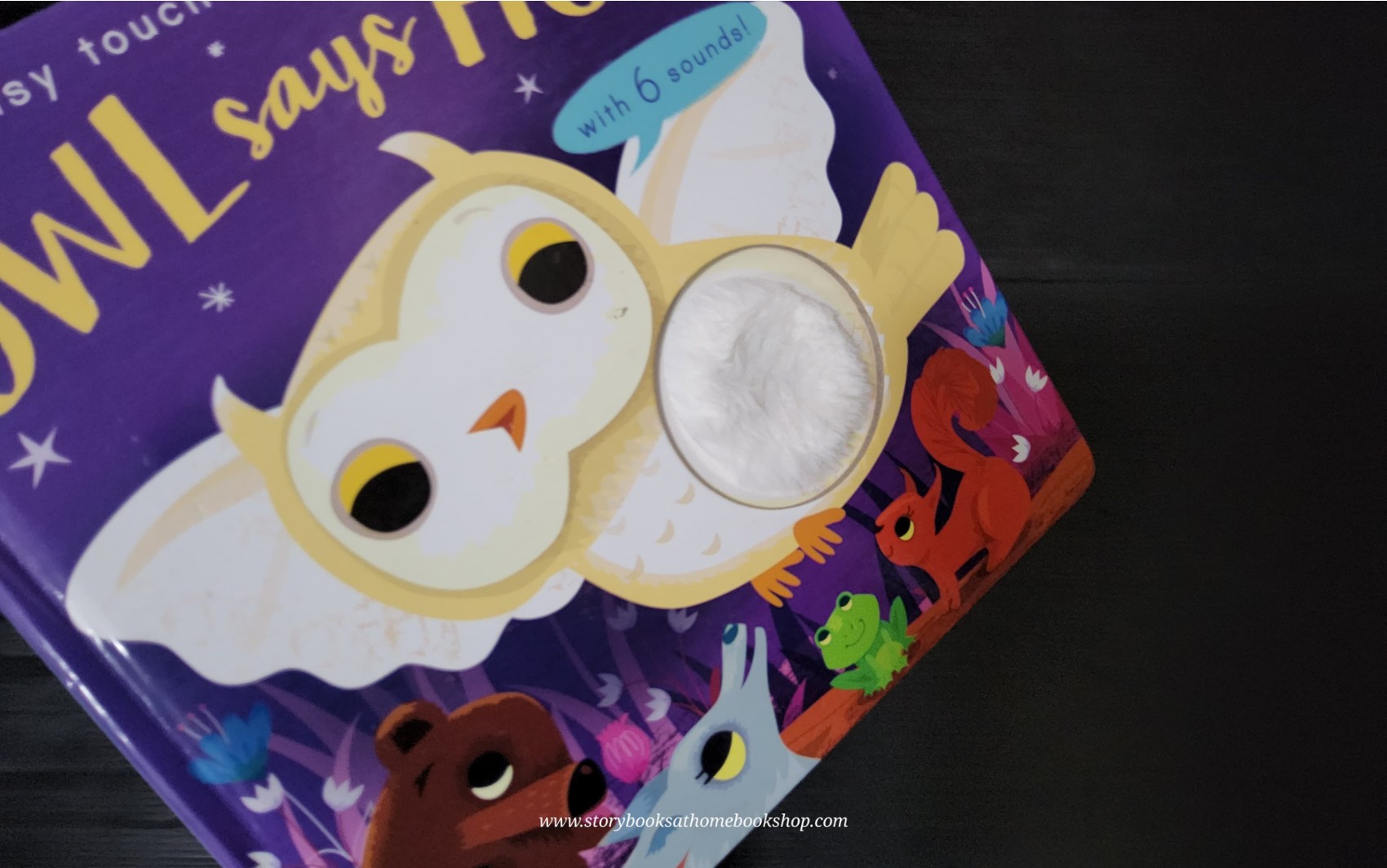 SOUND Board Book** 🍅🍓OWL SAYS HOOT WITH 6 SOUNDS