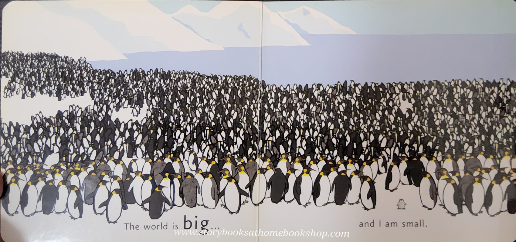 BOARD BOOK** ♥️ME.. BY EMMA DODD