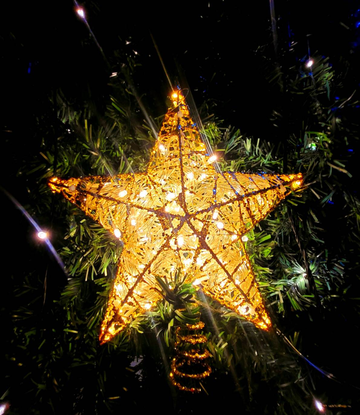 ดาวคริสต์มาส"ดาวยอดมีไฟ"ใช้ต้นเท่าไหร่เลือกขนาดที่เหมาะสมนะครับ