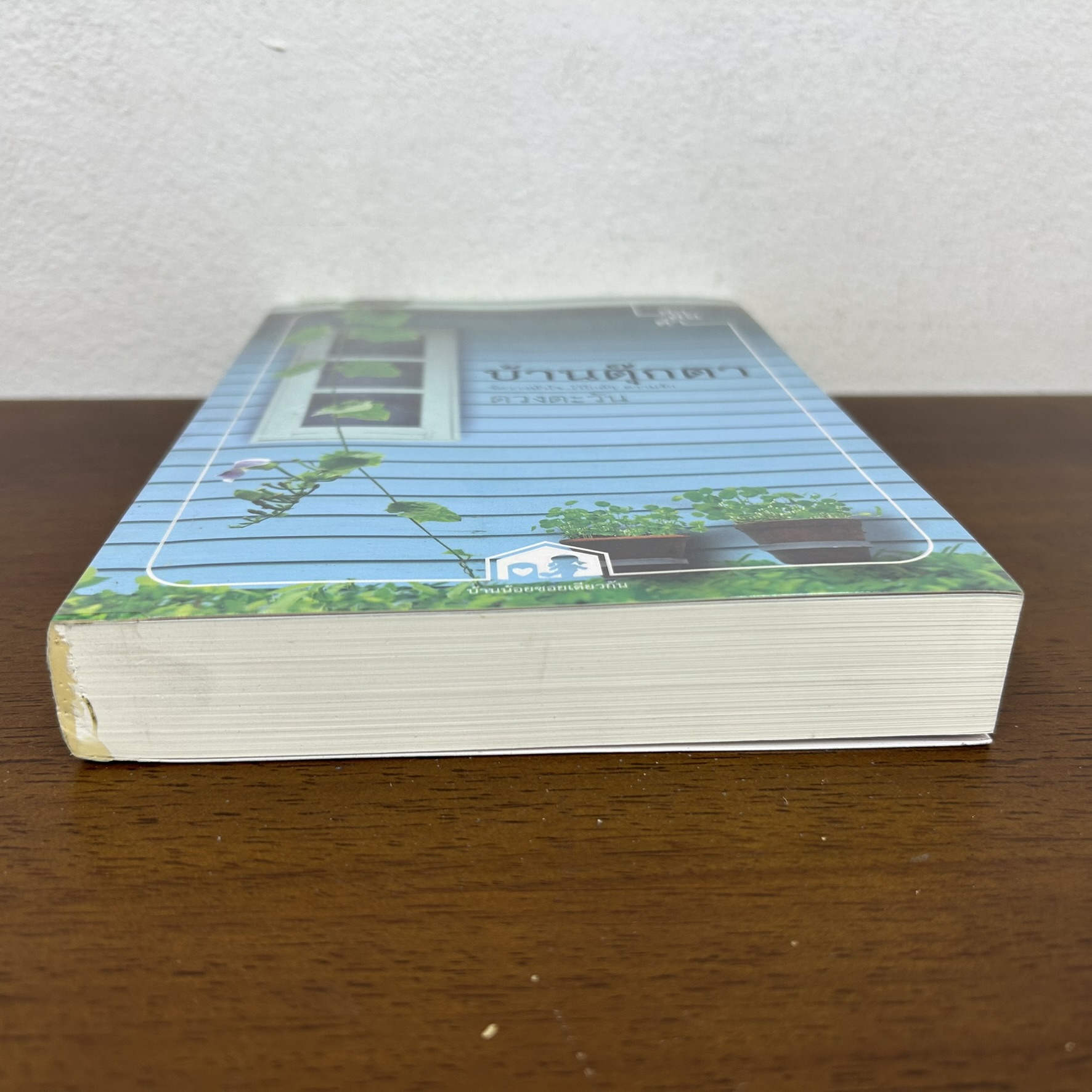 รักเลี่ยมทอง ... ดวงตะวัน (มือสอง) นิยาย โรแมนติก คำต่อคำ