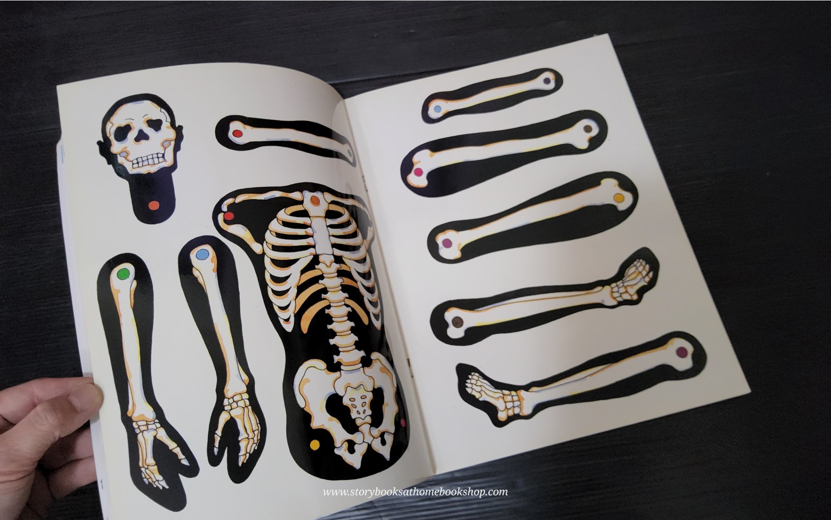 KNOWLEDGE ACTIVITIES BOOK** ð
MORE FUN WITH SCIENCE