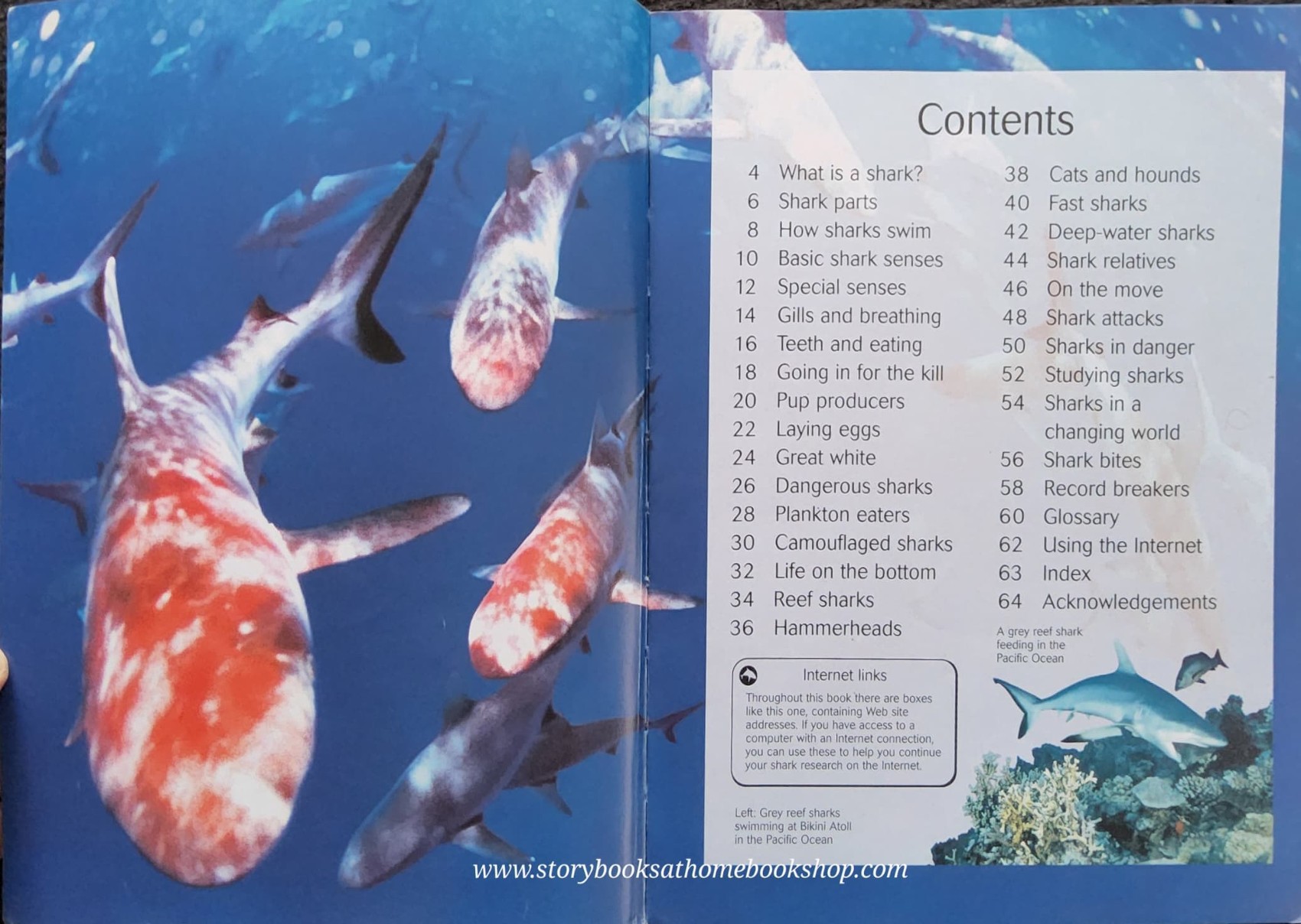 KNOWLEDGE BOOK ** 🍅🍅USBORNE DISCOVERY INTERNET-LINKED: SHARKS