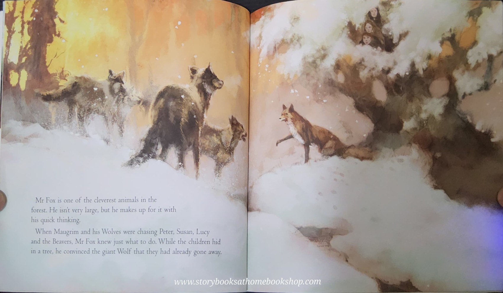 หนังสือนิทานปกอ่อน** 🍅🍓THE CHRONICLES OF NARNIA:THE LION,THE WITCH AND THE WARDROBE THE CREARURES OF NARNIA