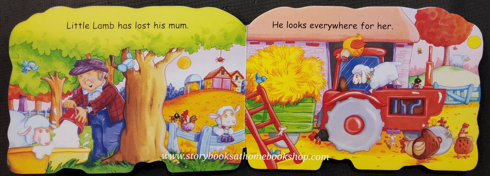 BOARD BOOK ** 🍅LITTLE LAMB🍅