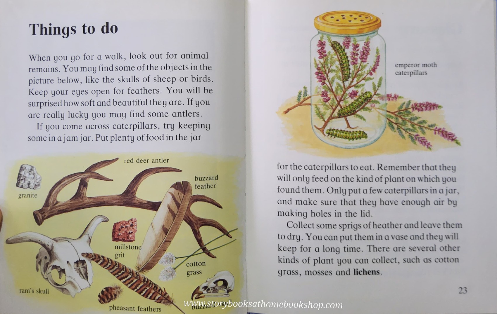 Knowledge Book** NEW BOOK ð
ð
ON HEATH AND MOORLAND