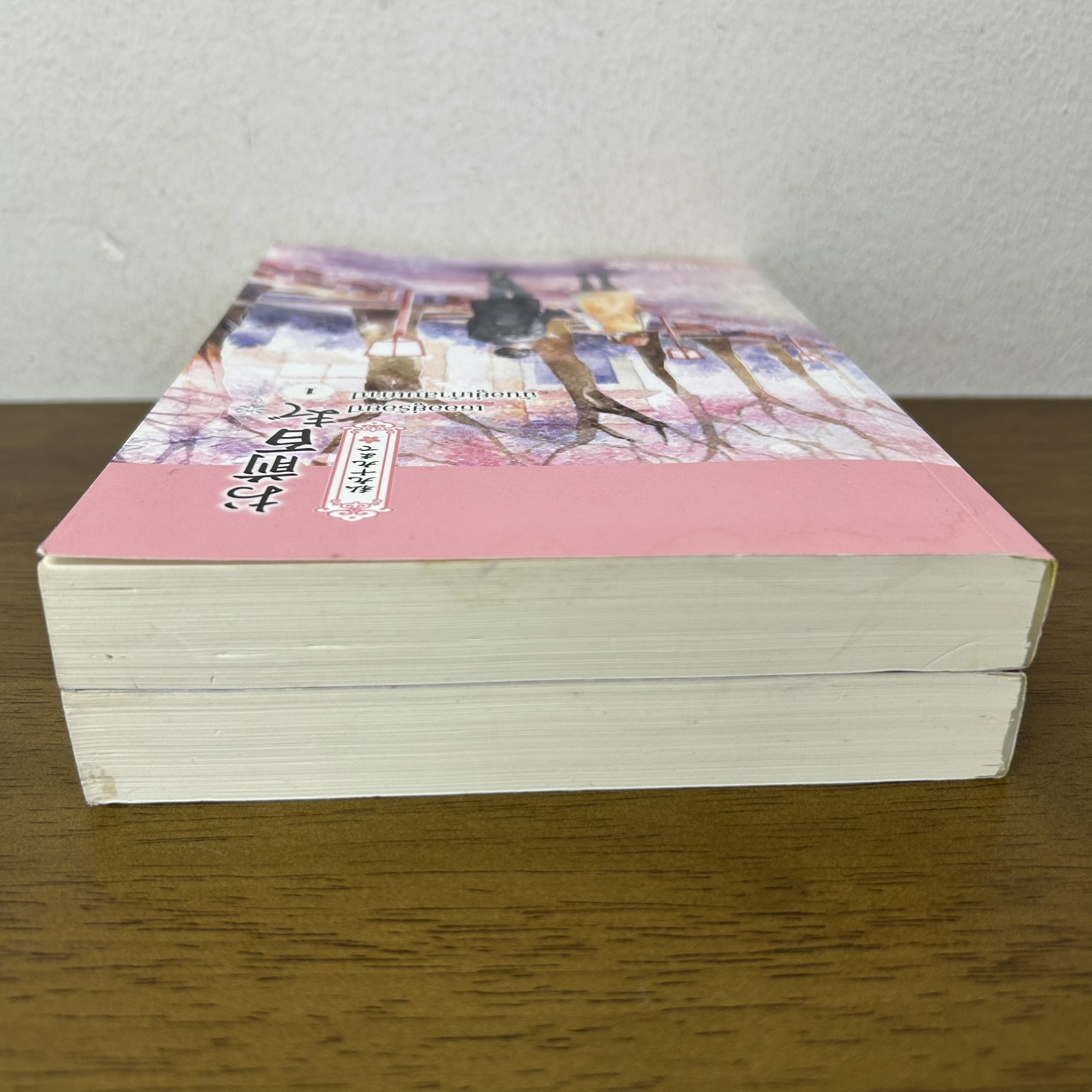 เธออยู่ร้อยปี ฉันอยู่เก้าสิบเก้าปี 1-2 จบ ครบชุด ... senorita-p (มือสอง) นิยายรัก โรแมนติก