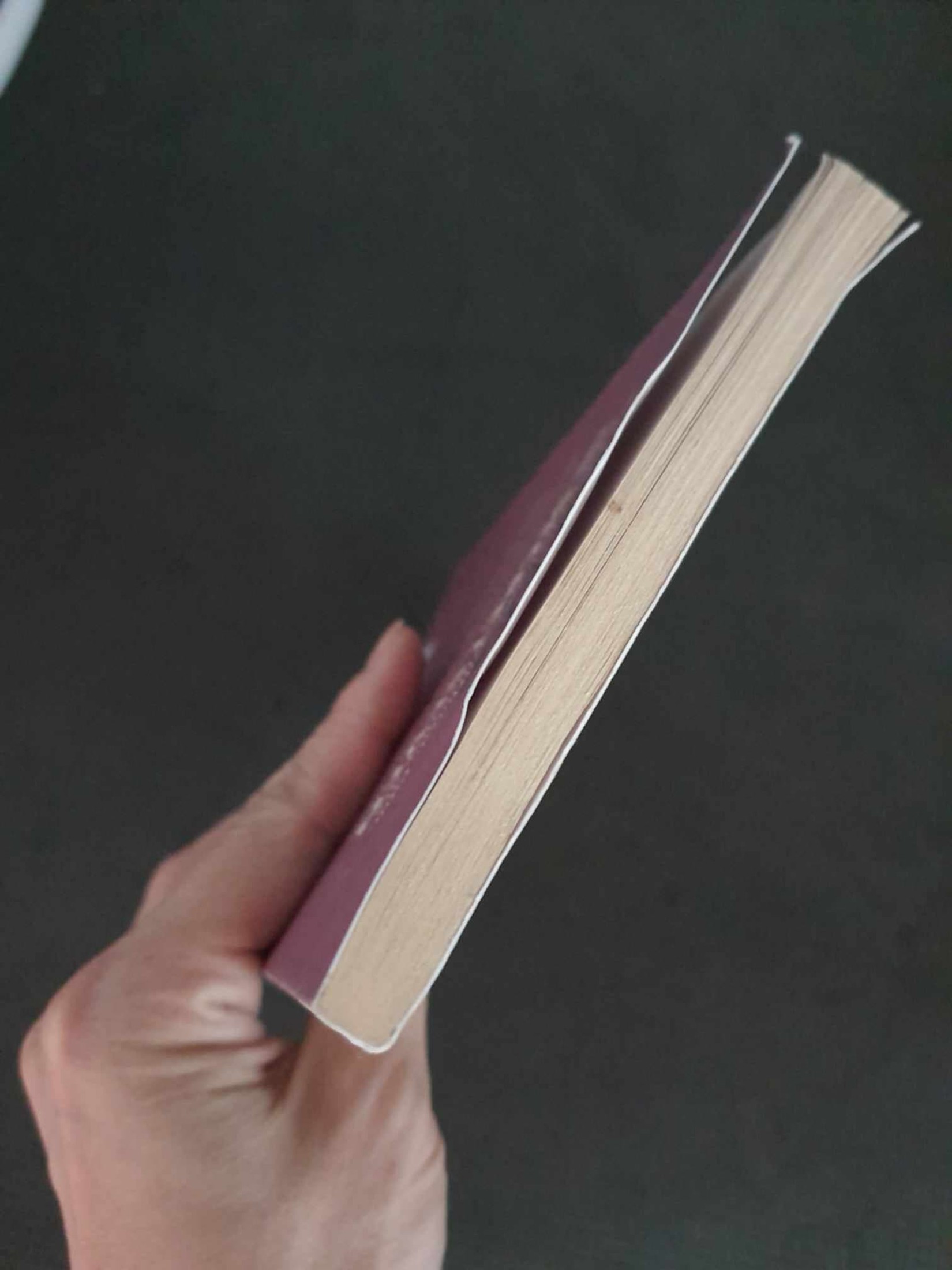 วรรณกรรมเยาวชน** **หนังสือนิทานปกอ่อน** 🍅🍓THE SECRET SEVEN ADVENTURE ISLAND BY ENID BLYTON