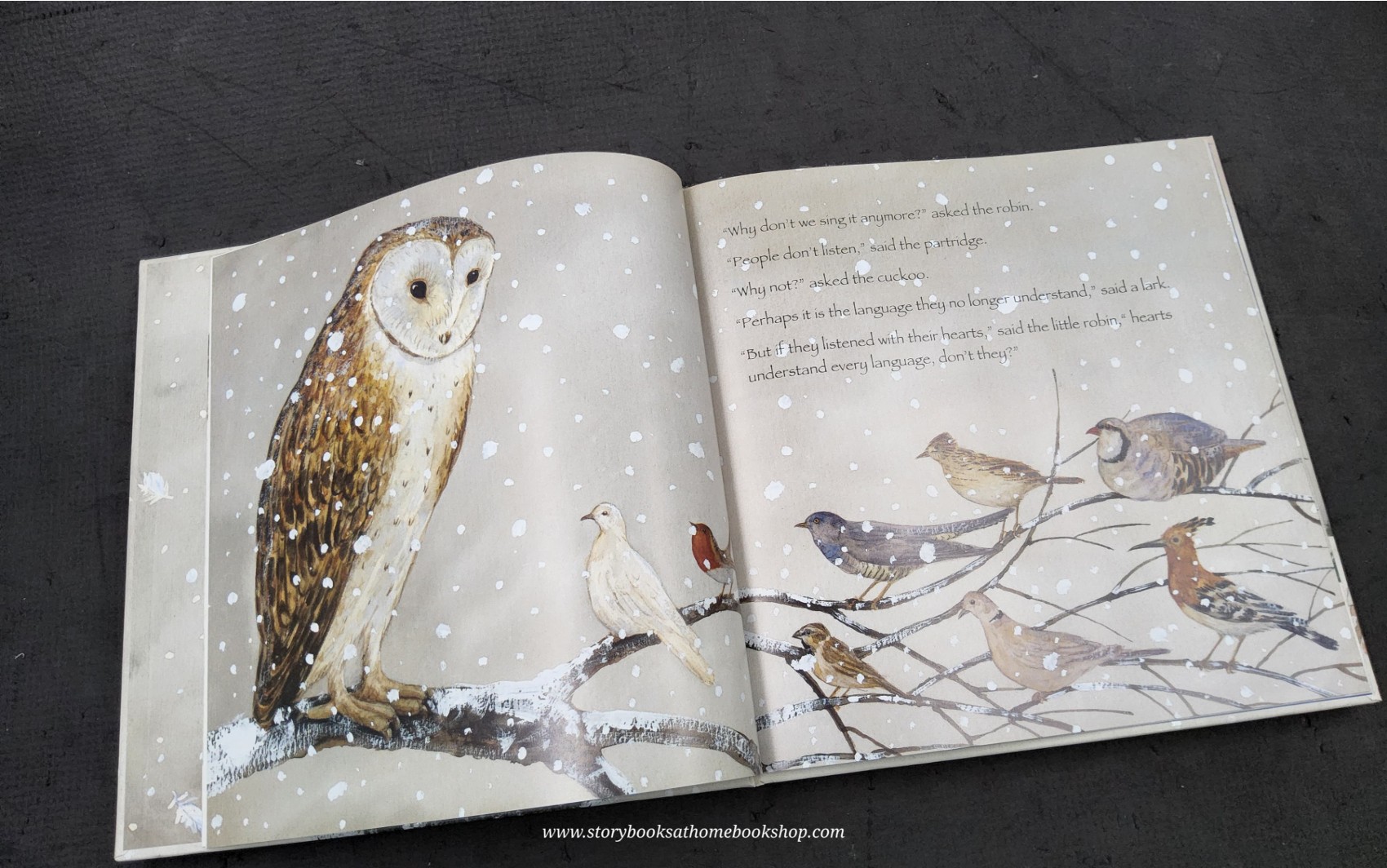 หนังสือนิทานปกแข็ง** ♥️THE MESSAGE OF THE BIRDS