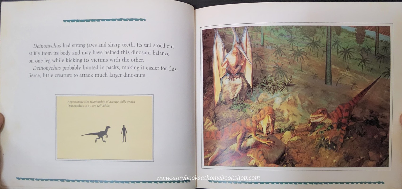 หนังสือนิทานปกอ่อน ** 🍅🍓 DINAMATION'S DINOSAURS ALIVE!