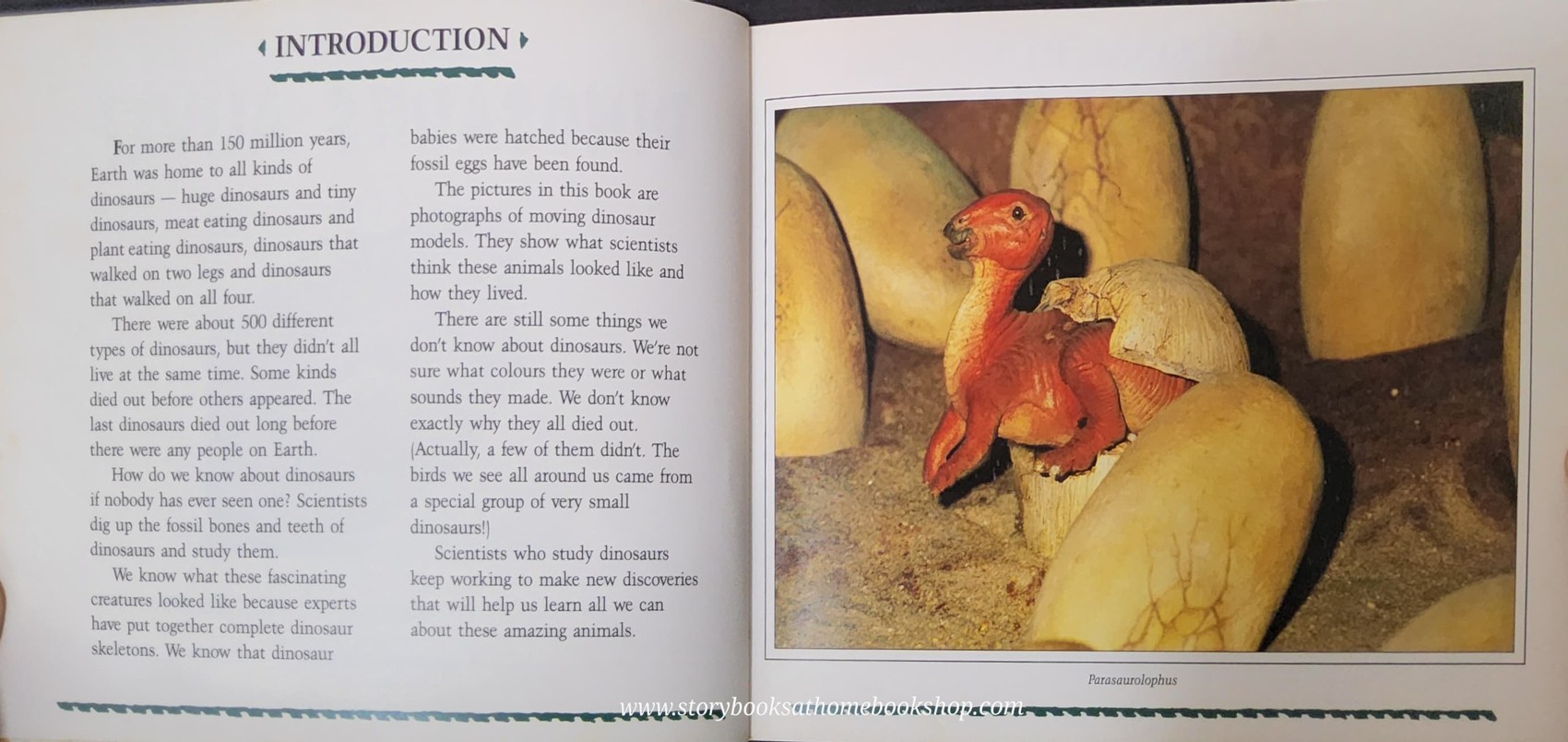 หนังสือนิทานปกอ่อน ** 🍅🍓 DINAMATION'S DINOSAURS ALIVE!