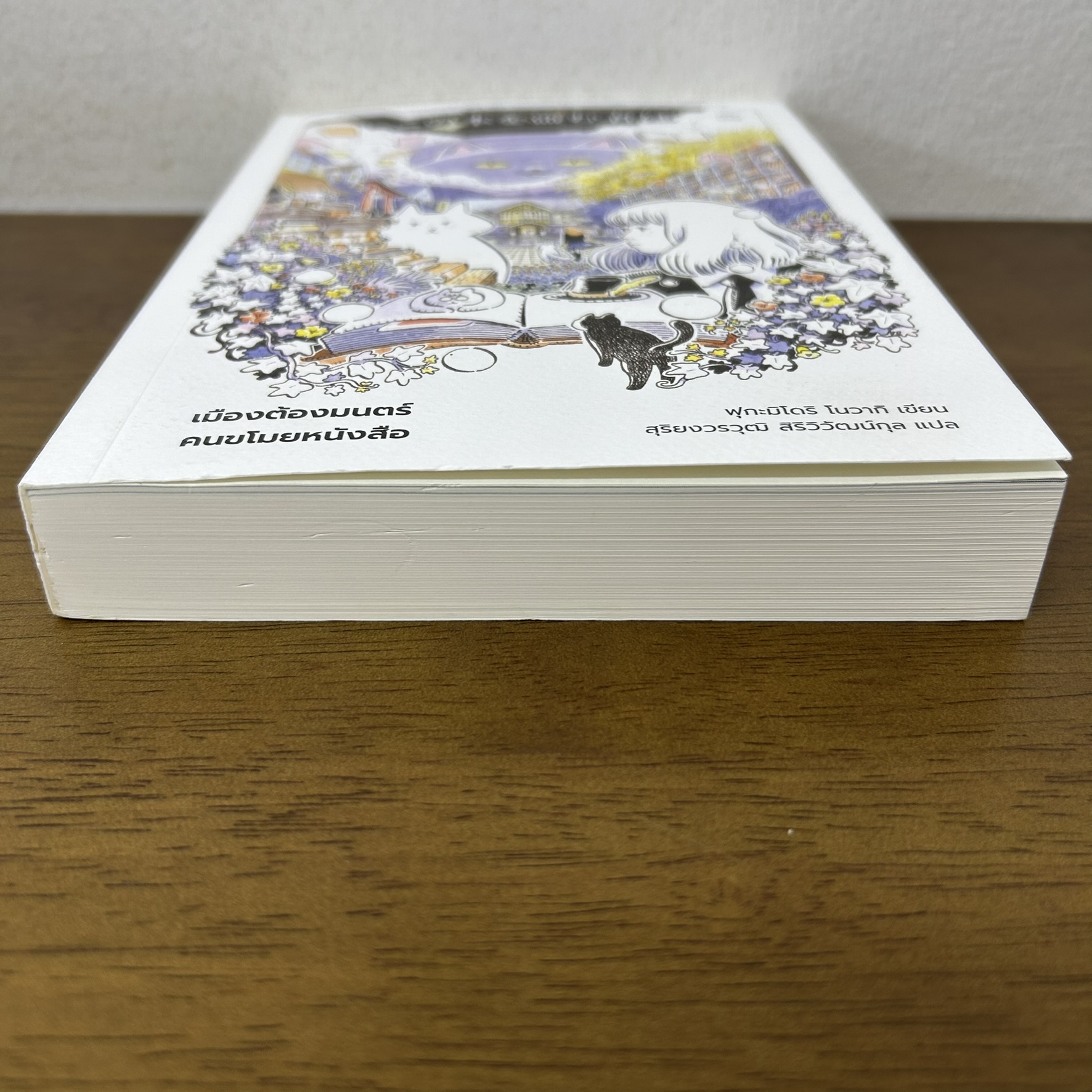เมืองต้องมนตร์ คนขโมยหนังสือ ... ฟุกะมิโดริ โนวากิ (มือสอง) นิยายแปล วรรณกรรมแปล