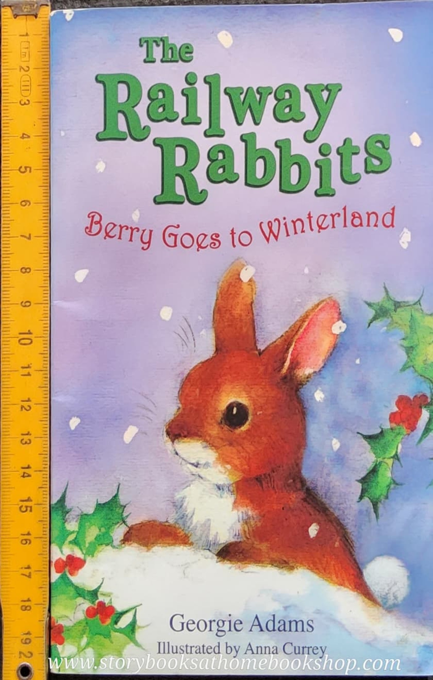 วรรณกรรมเยาวชน** 🍅The Railway Rabbites: Berry Goes to Winterland by Georgie Adams Anna Currey