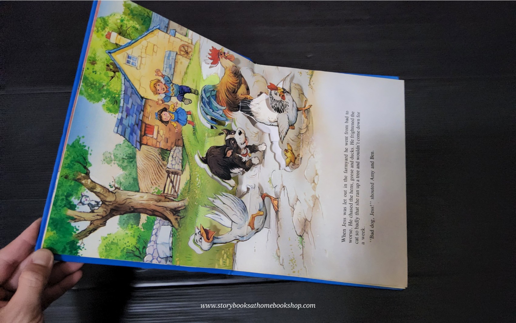 POP-UP BOOK** ♥️TALES OF BUTTERCUP FARM GOOD DOG JESS