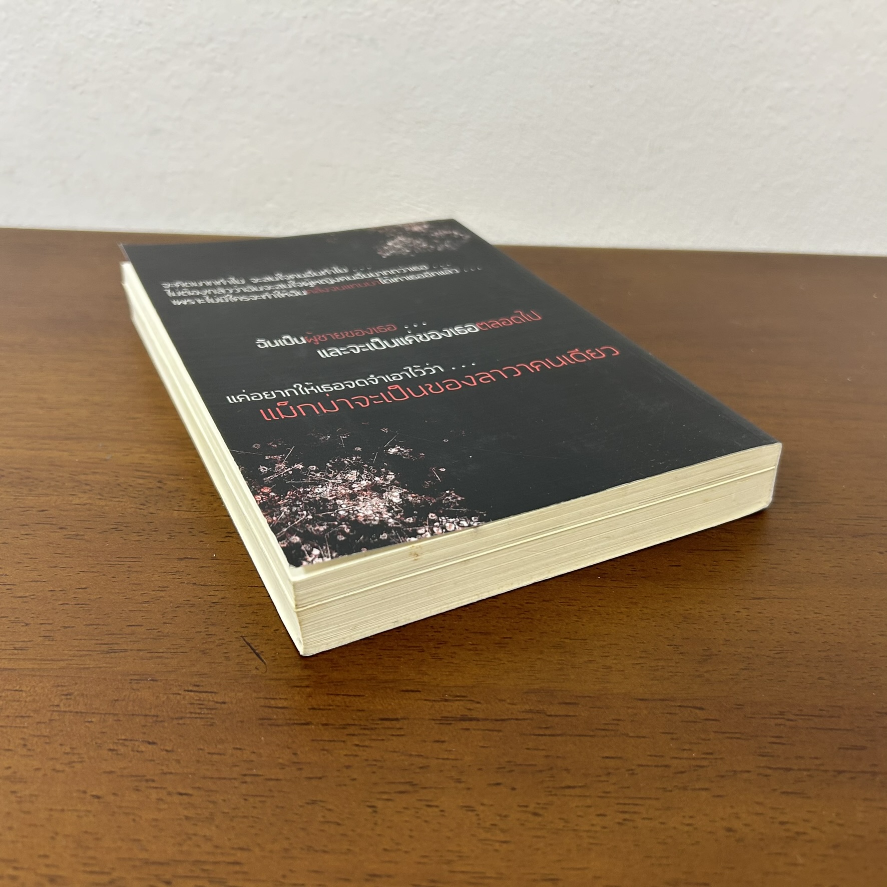 ME & BAD BOY แอบร้อน ซ่อนรัก ... The-Daziie (มือสอง) นิยาย โรมานซ์