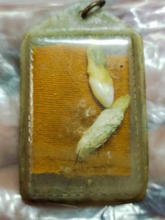 พระทันตธาตุหลวงปูู่่แสวง วัดศิลาวารี อ.เถิน จ.ลำปาง ได้มาจากคุณลุงประเสริฐ อายุ 82 ปี คุณลุงประเสริฐ ได้มาจากลุงสมหมาย อายุ 74 ปี อาชีพขับรถรับส่งคนจากอำเภอเถิน - เข้าเมืองลำปาง และได้รับพระทันตธาตุนี้มาเมื่อปี 2548