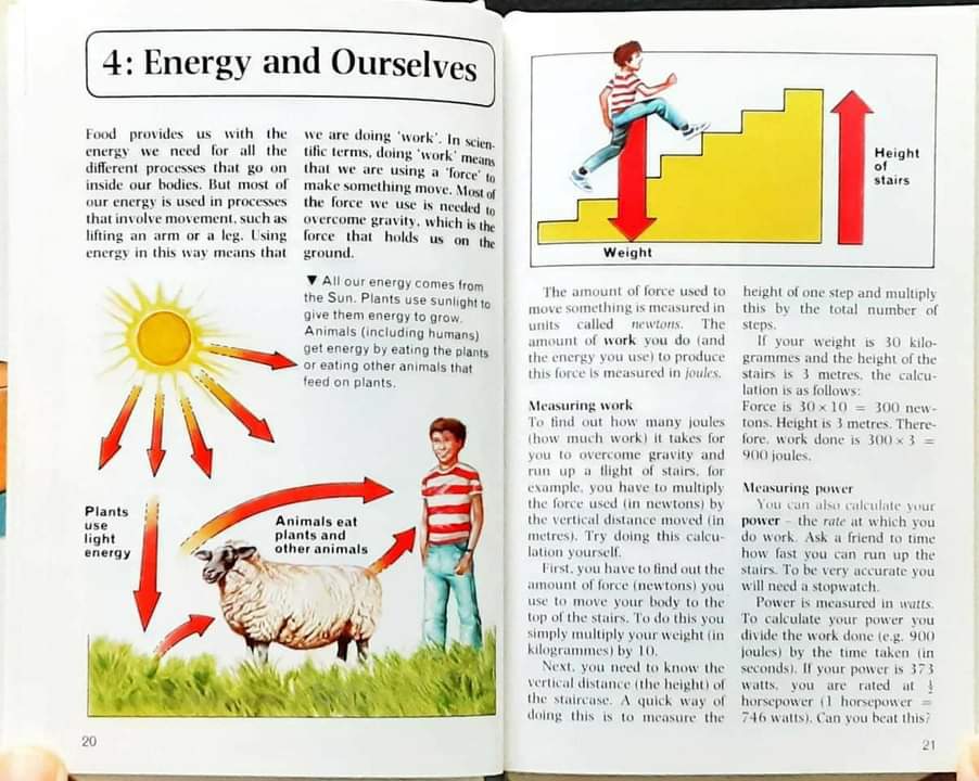 Knowledge Book** 🍅🍓A RAINBOW FACTBOOK HOME SCIENTIST