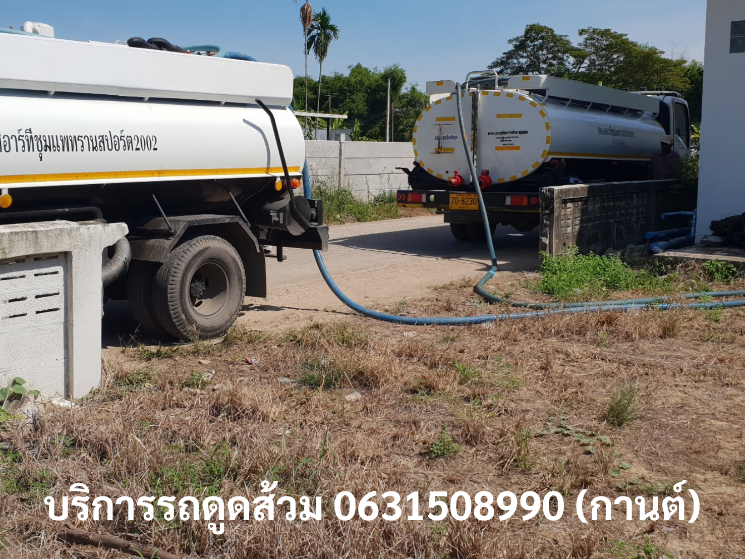 ดูดส้วมดุสิต