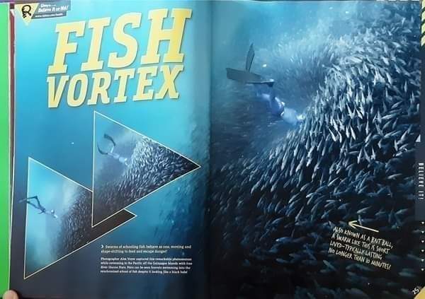 KNOWLEDGE BOOK** 🍅🍓RIPLEY'S BELIEVE IT OR NOT!