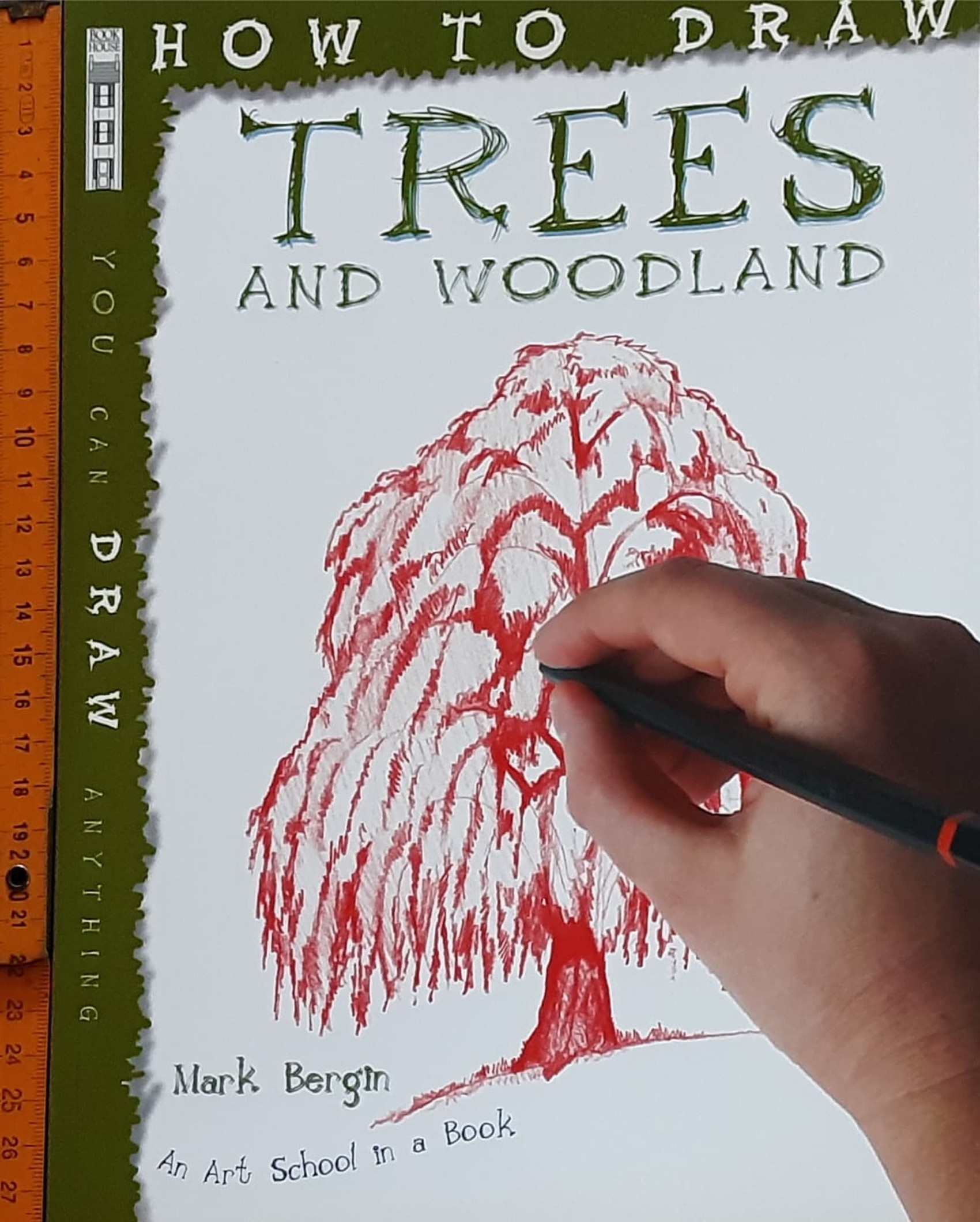 DRAWING BOOK** 🍅🍓HOW TO DRAW TREES AND WOODLAND