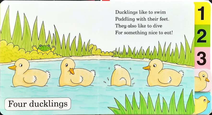 BOARD BOOK** 🍅🍓How Many ?by Rod Campbell