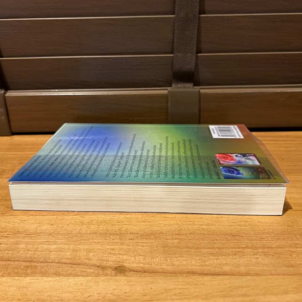 พลังจิตจ้าวหัวใจ ... มณีจันท์ (มือสอง) นิยาย โรมานซ์ พลอยวรรณกรรม