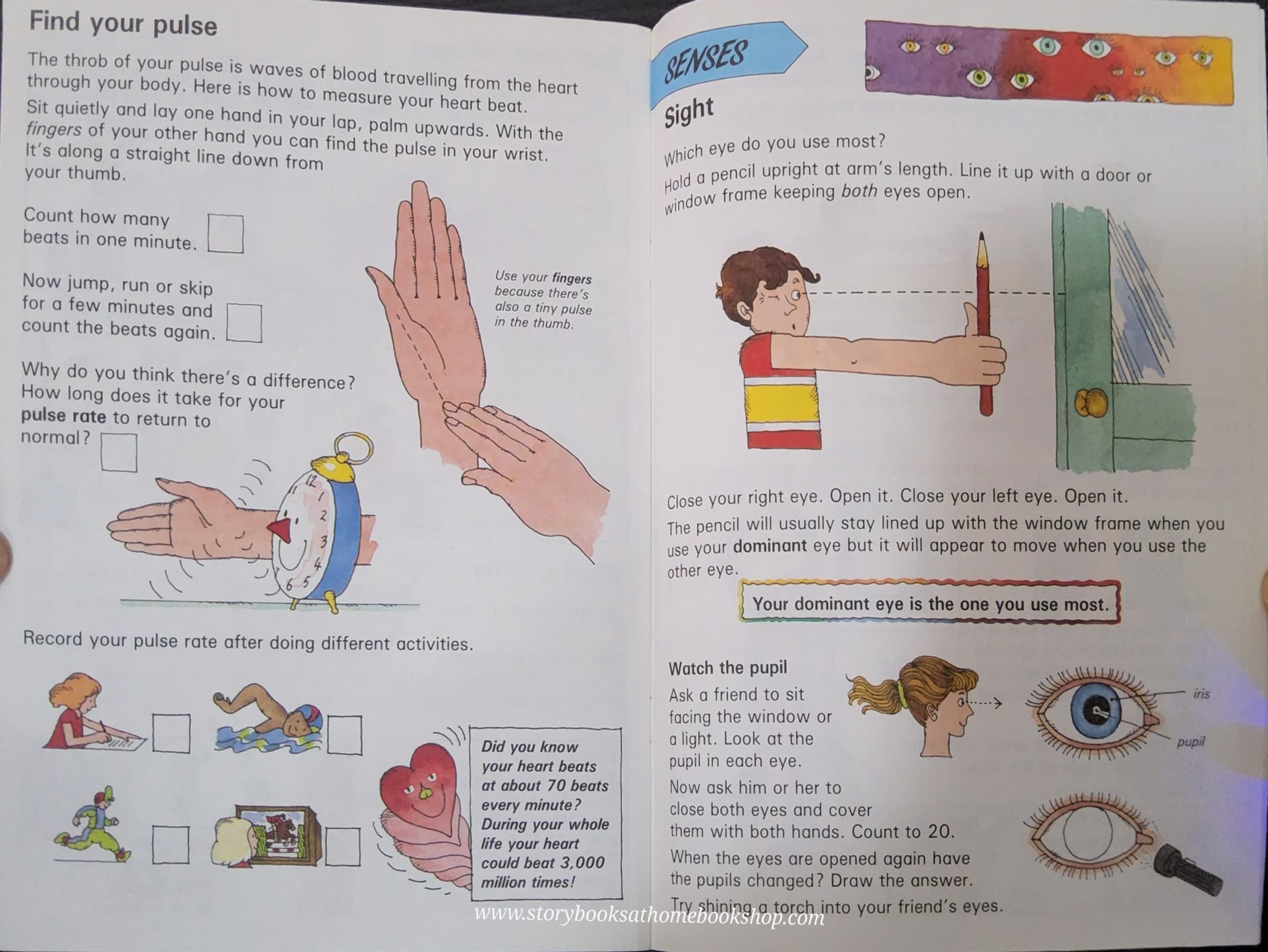 KNOWLEDGE ACTIVITIES BOOK** ð
MORE FUN WITH SCIENCE