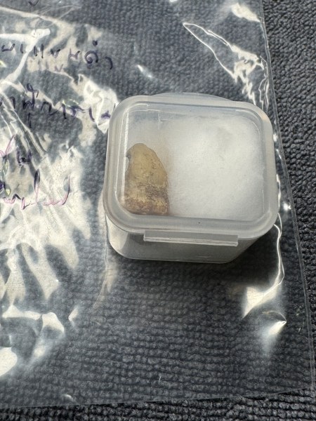 พระทันตธาตุ ครูบาแขนดำ หรือครูบากอ วัดวาฬุการาม อ.ฝาง จ.เชียงใหม่ ได้มาจากลุงอำนาจ อายุ 72 ปี อาชีพขายข้าวสาร ใน อ.เชียงดาว อ.ฝาง ทำสวนปลูกข้าวขาย ลุงอำนาจท่านเป็นลูกศิษย์ของครูบากอ ยามว่างท่านก็มาขับรถให้ครูบากอ ลุงอำนาจได้รับพระทันตธาตุมาให้ปี 2562