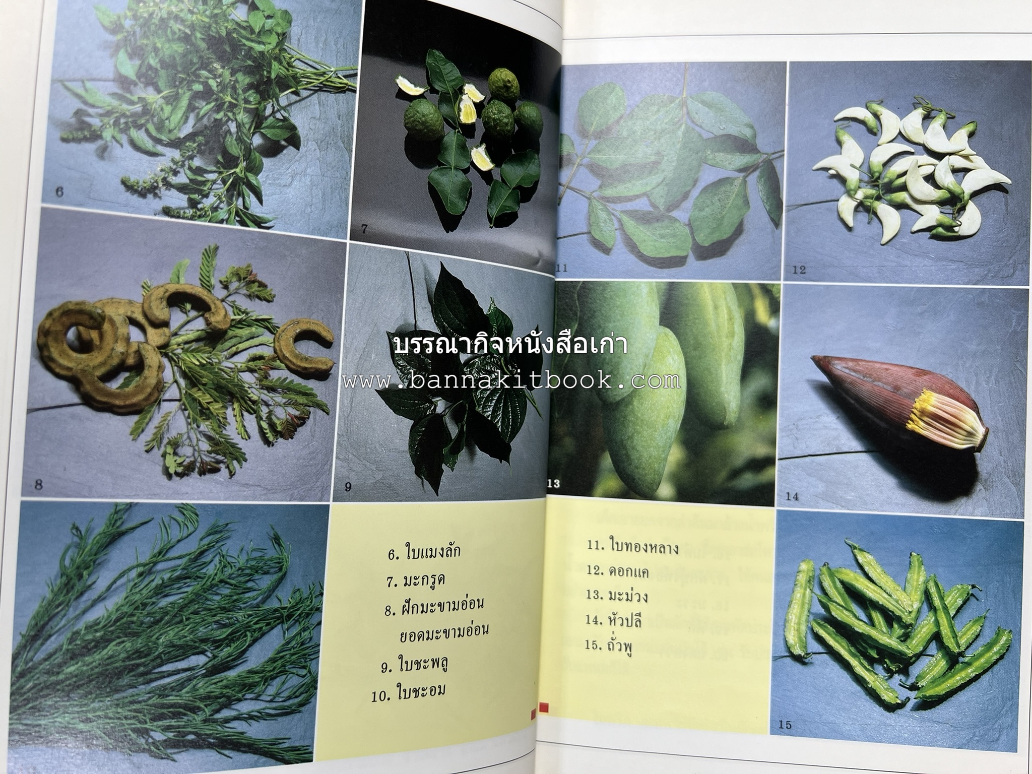 อาหารรสวิเศษ ตำรับดั้งเดิม โดย : ประยูร อุลุชาฎะ.