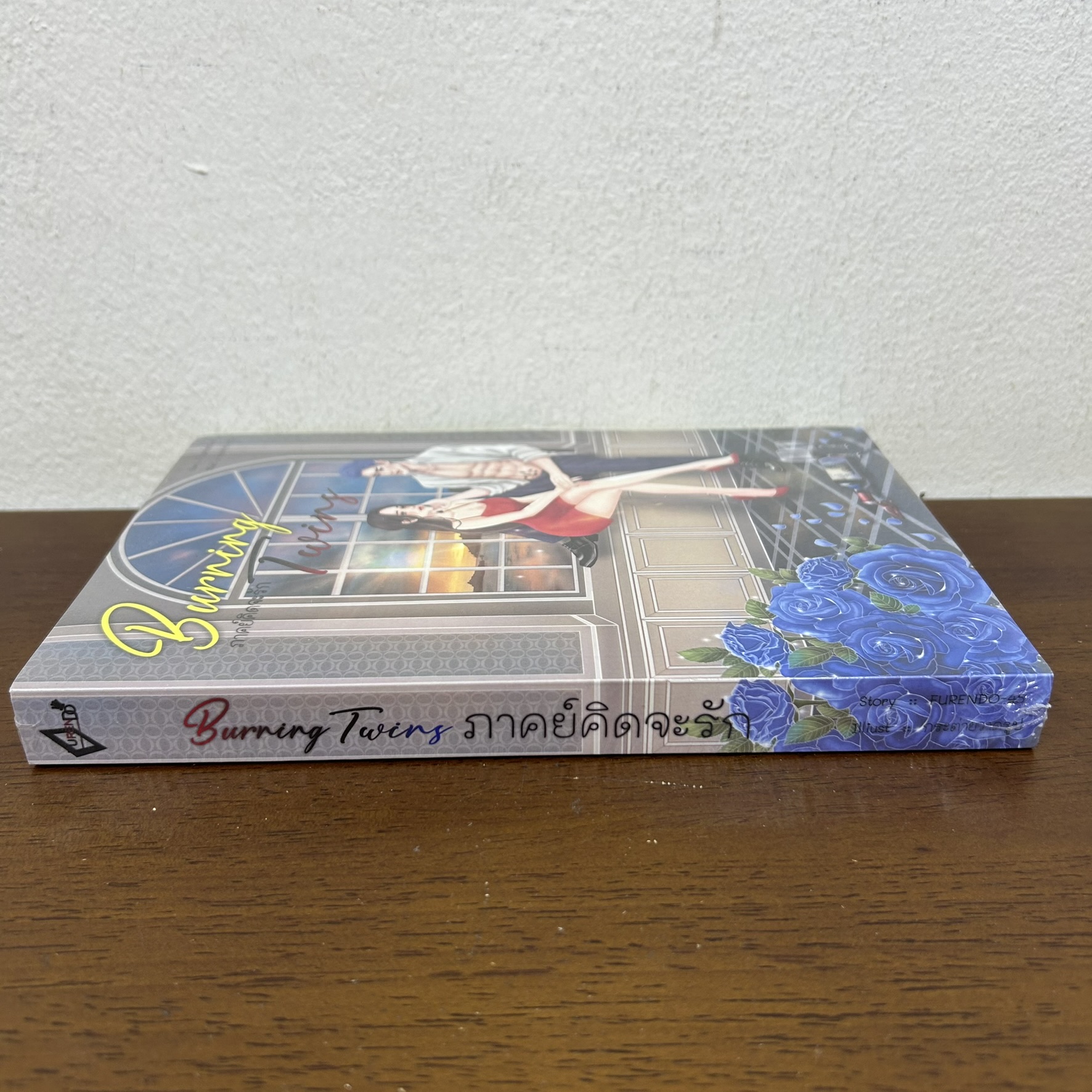 Burning Twins ภาคย์คิดจะรัก ... FURENDO-45 (มือหนึ่งซีล) นิยาย โรมานซ์
