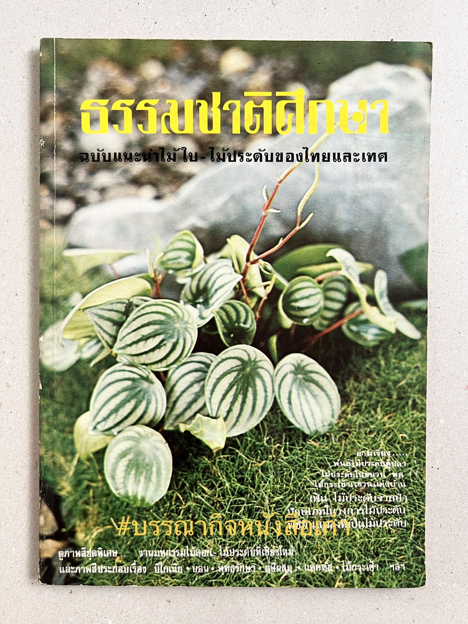 ธรรมชาติศึกษา : ฉบับแนะนำไม้ใบ-ไม้ประดับของไทยและเทศ (ชุดที่ 1 เล่มที่ 2 ลำดับที่ 2 ปี 2521).