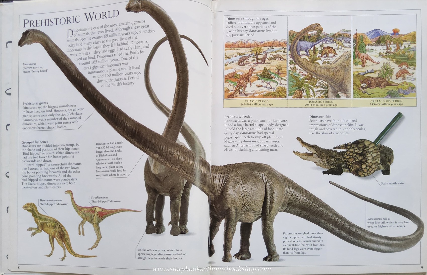 KNOWLEDGE BOOK** ♥️THE NATURAL HISTORY MUSUEM BAROSAURUS