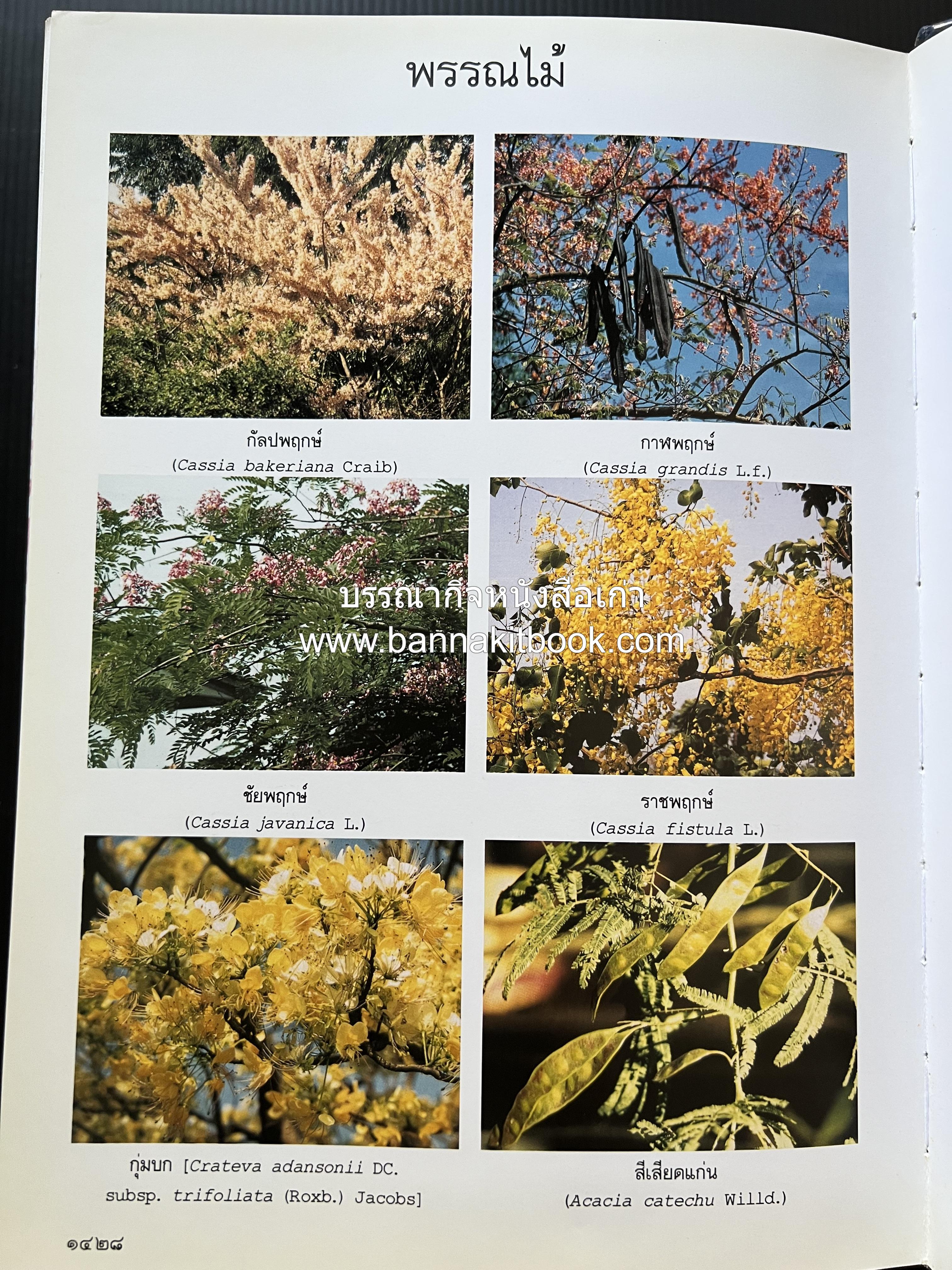 พจนานุกรม ฉบับราชบัณฑิตยสถาน พ.ศ. 2554 โดย : ราชบัณฑิตยสถาน.