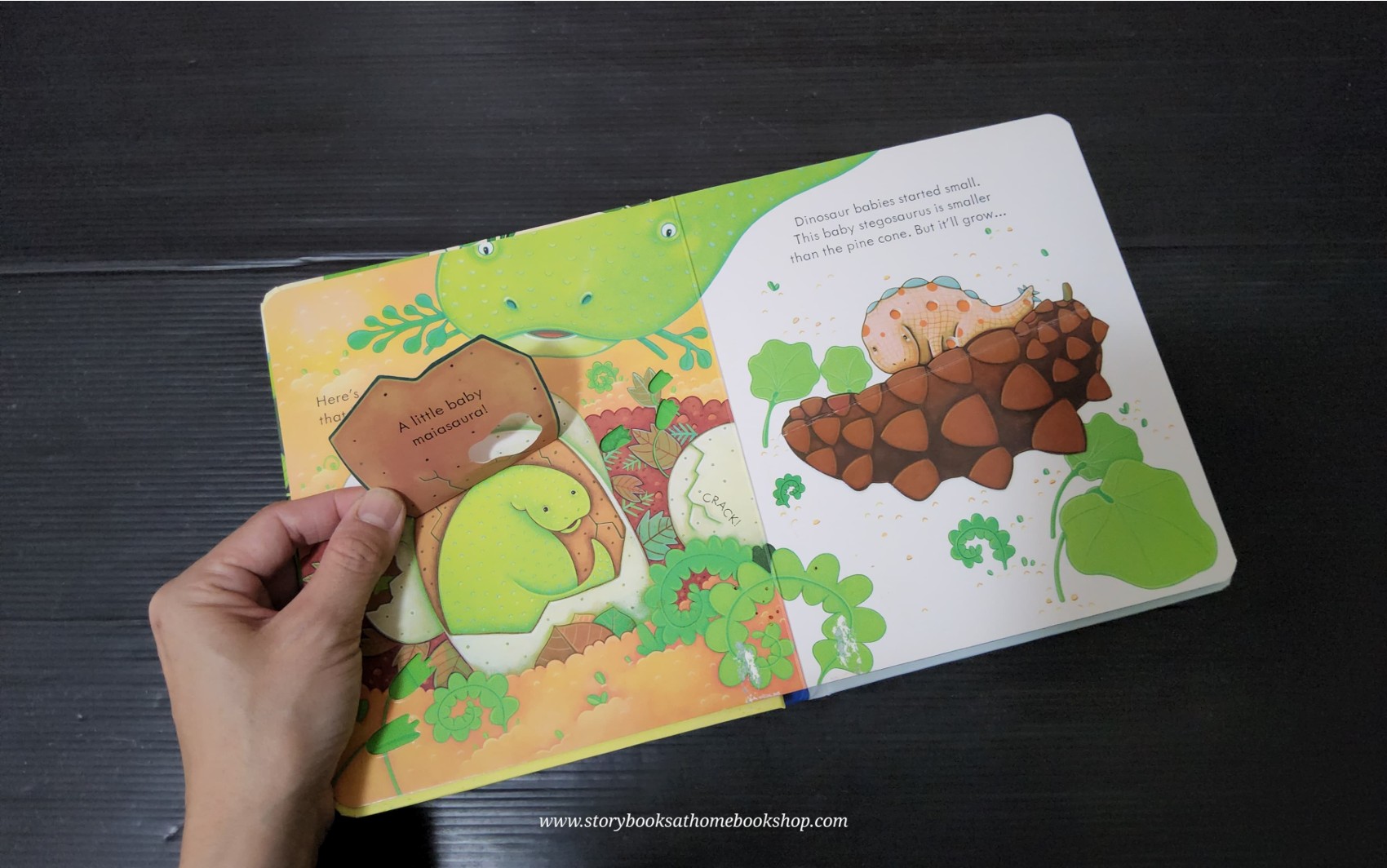 PEEP AND FLAP BOARD BOOK ** ð
ð
USBORNE PEEP INSIDE DINOSAURS