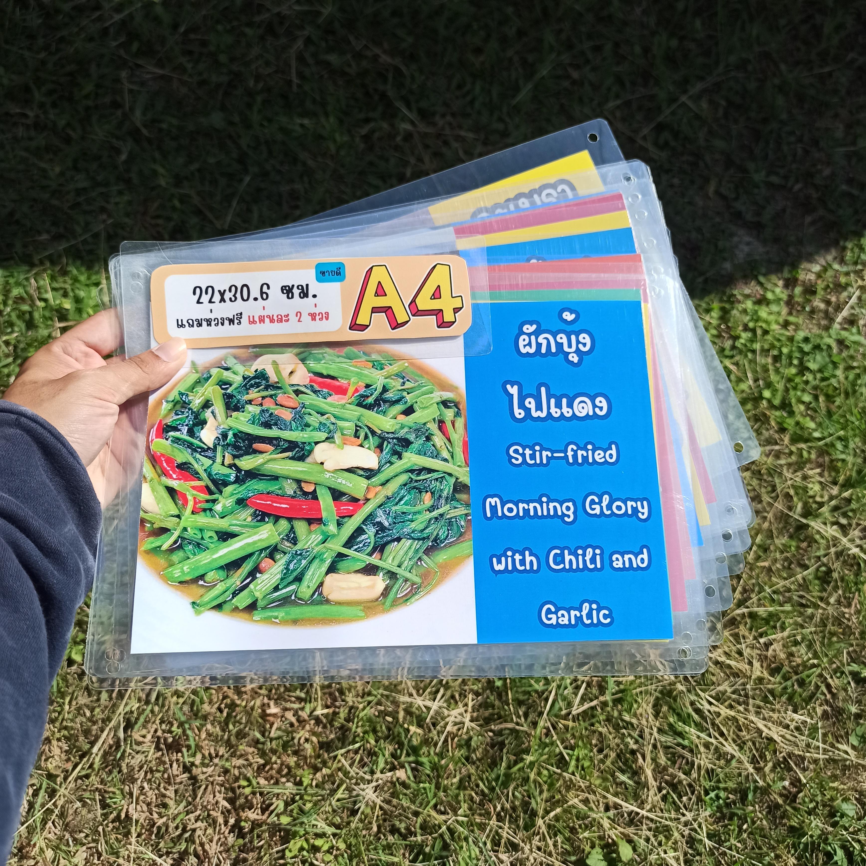 ชุดป้ายเมนู A4 อาหารจานด่วน 12 แผ่น | กะเพราหมูสับไข่ดาว, กะเพรากุ้งไข่ดาว, กะเพราไก่ไข่ดาว, กะเพราทะเล(กุ้งกับหมึก) | เพิ่มยอดขายร้านของคุณทันที! | รหัส 4058