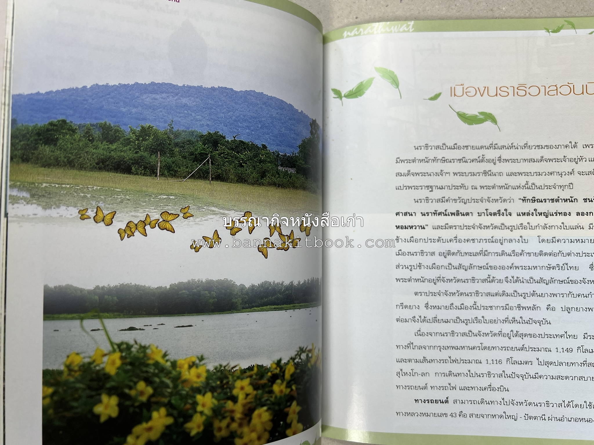 นราธิวาส สารคดีชุดถิ่นทองของไทย โดย : สมัย สุทธิธรรม.