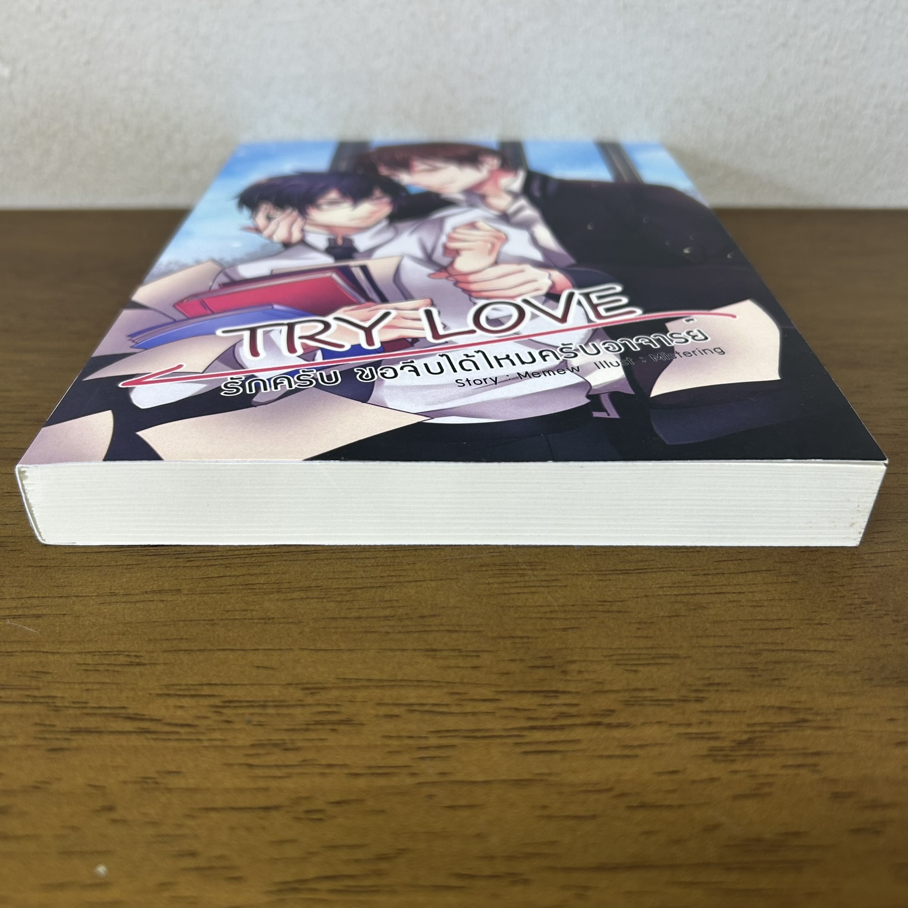 [YAOI] Try Love รักครับ ขอจีบได้ไหมครับอาจารย์ ... Memew (มือสอง) นิยายวาย