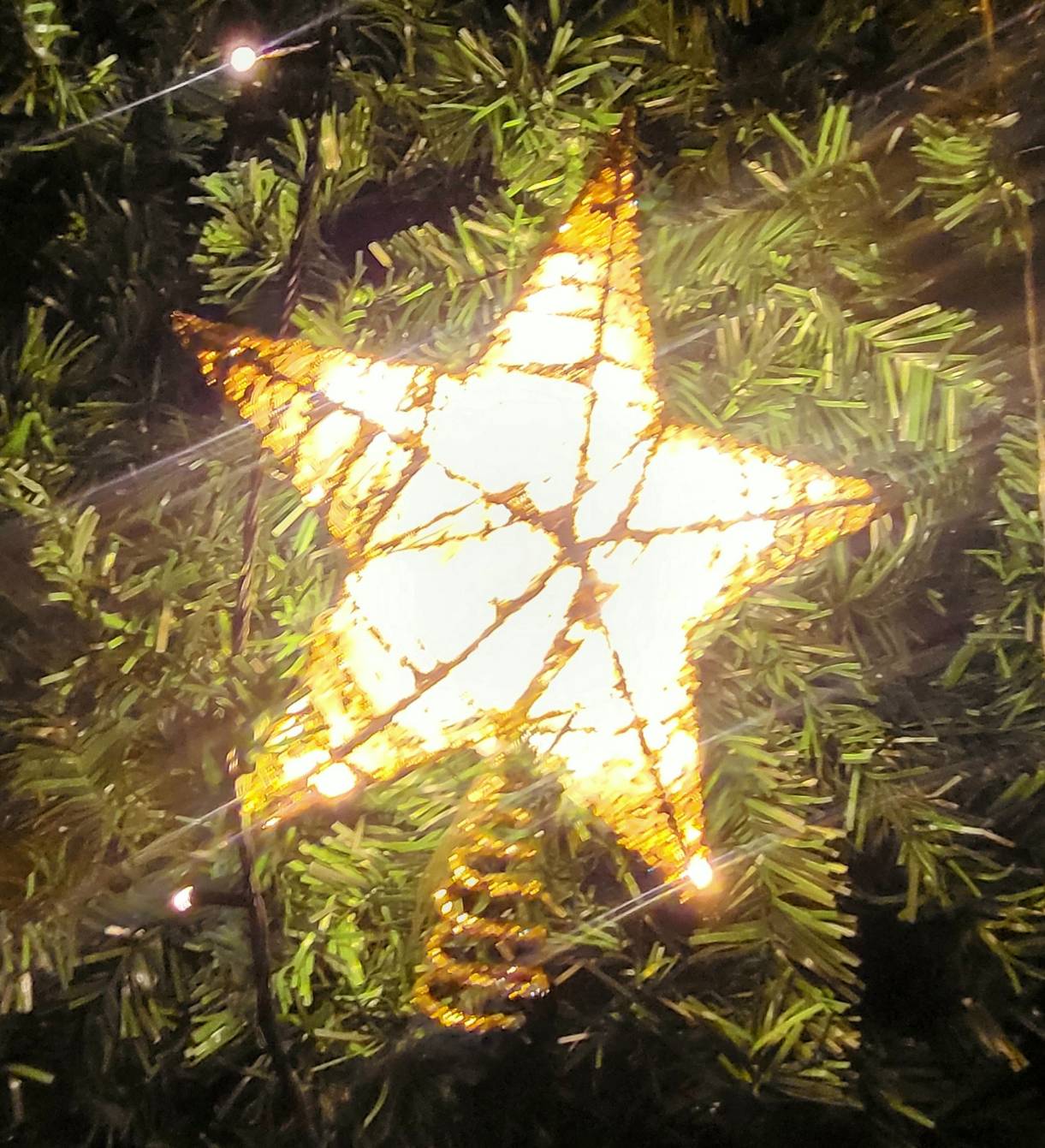 ดาวคริสต์มาส"ดาวยอดมีไฟ"ใช้ต้นเท่าไหร่เลือกขนาดที่เหมาะสมนะครับ