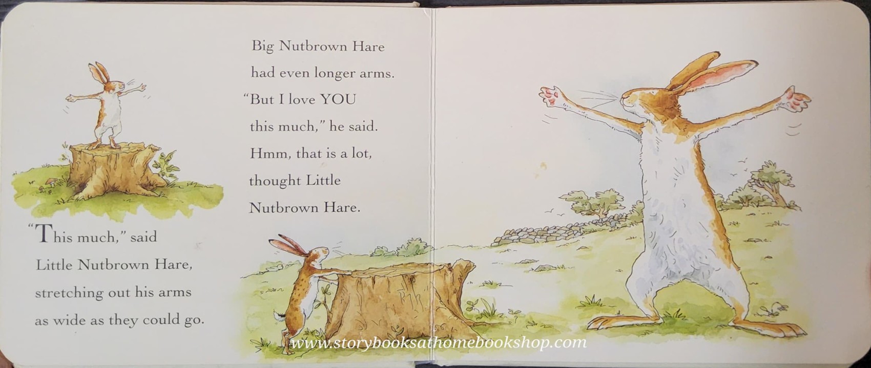 BOARD BOOK** 🍅🍓GUESS HOW MUCH I LOVE YOU BY SAM MCBRATNEY