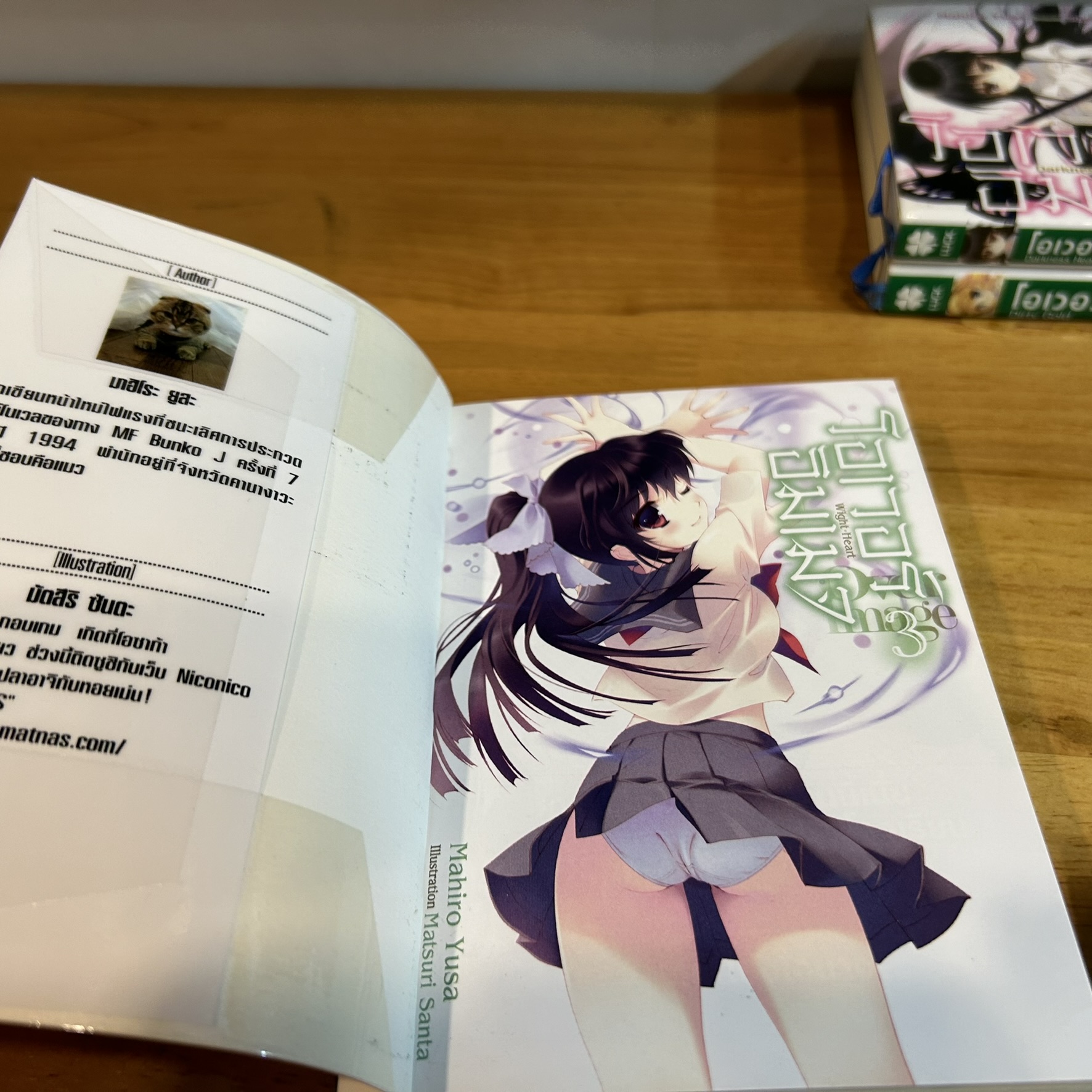 [LIGHT NOVEL] โอเวอร์อิมเมจ Over Image เล่ม 1-4 จบ ... Chibimaru เขียน (มือหนึ่งปนมือสอง) ไลท์โนเวล แฟนตาซี LN นิยาย