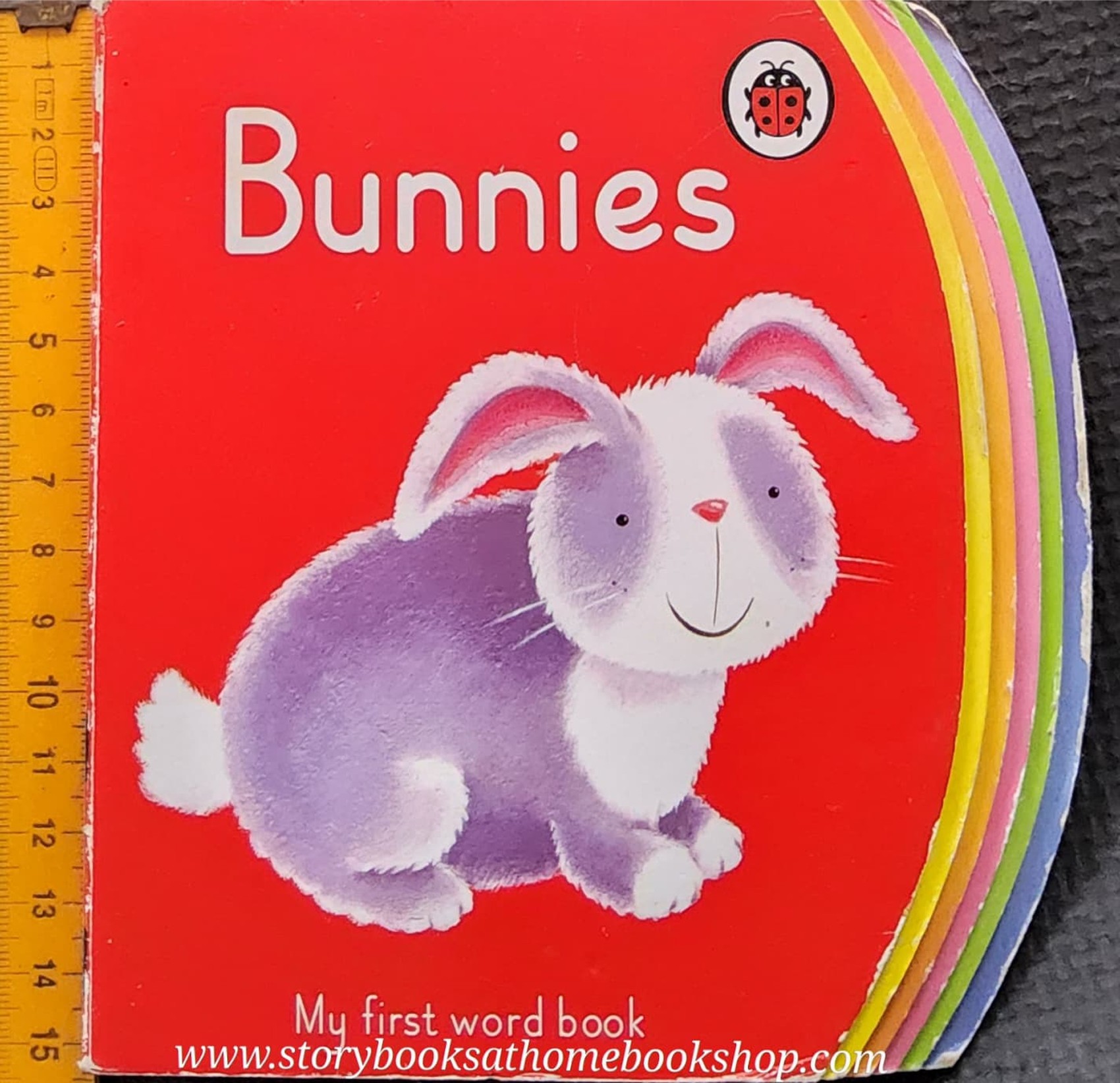 *BOARD BOOK** 🍅🍓BUNNIES
