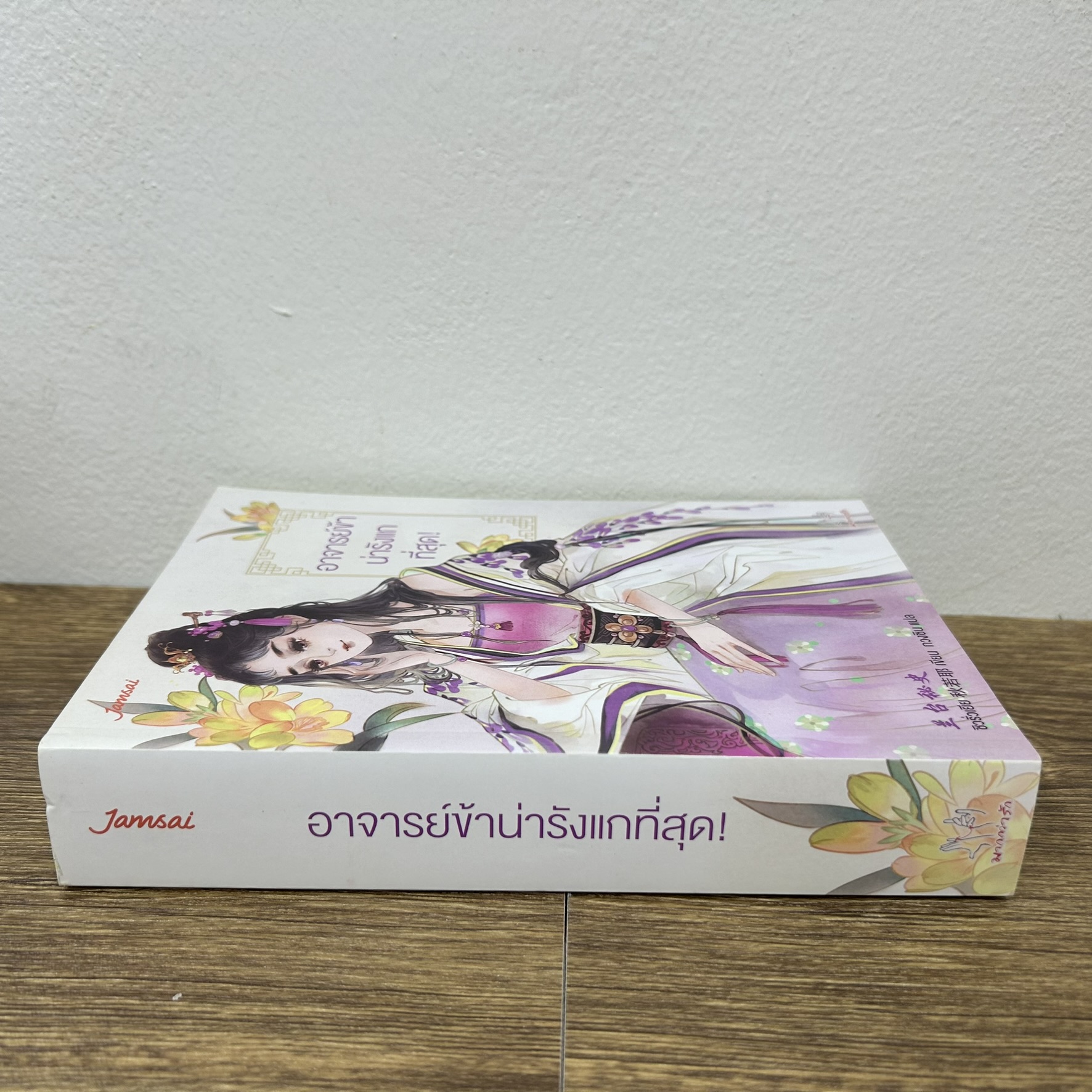 อาจารย์ข้าน่ารังแกที่สุด! ... ชิวรั่วเยีย (มือสอง) นิยายรัก แปลจีน แจ่มใส