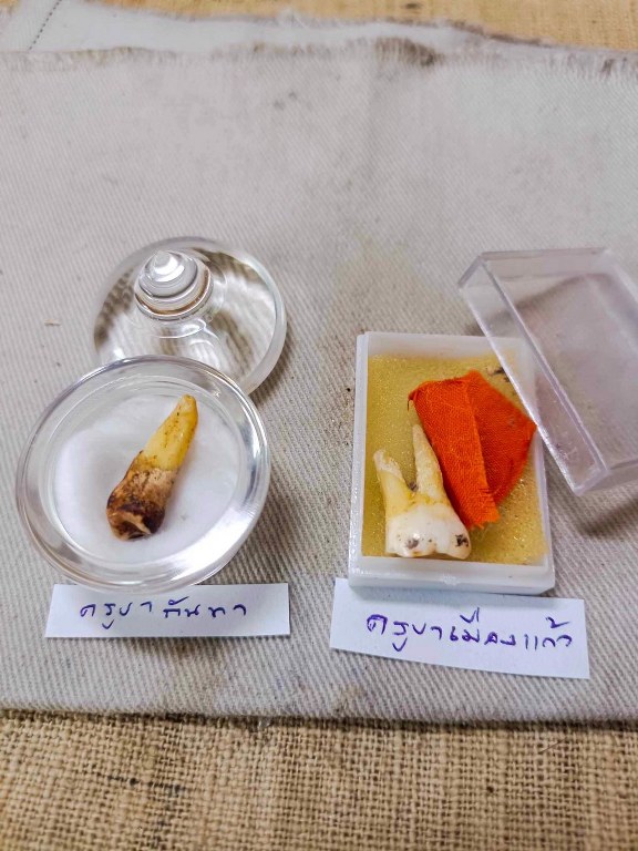 พระทันตธาตุ ครูบากันทา วัดวังจำปา อ.จอมทอง จ.เชียงใหม่ ได้มาจากลุงประสิทธิ์ อดีตนายอำเภอ เวียงหนองล่อง อายุ 74 ปี (บันทึกปี 2566) เล่าว่าได้มา จากพ่ออุดม อายุ 80 ปี ปัจจุบันเสียชีวิตแล้ว โดยได้มาจากอดีตรองเจ้าอาวาสวัดวังจำปา ในขณะนั้นประมาณปี 2537