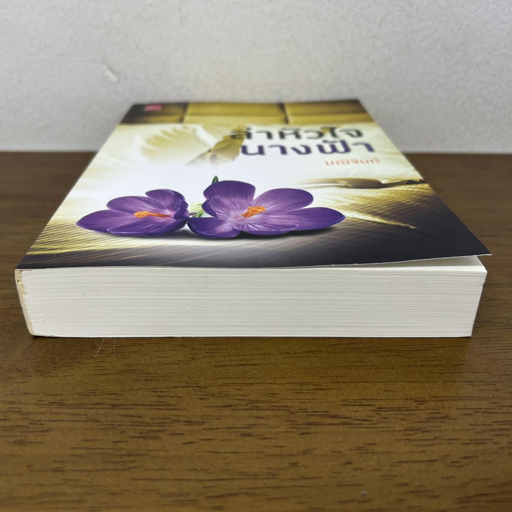 ล่าหัวใจนางฟ้า ... มณีจันท์ (มือสอง) นิยาย โรแมนติก ชูการ์บีท สถาพร