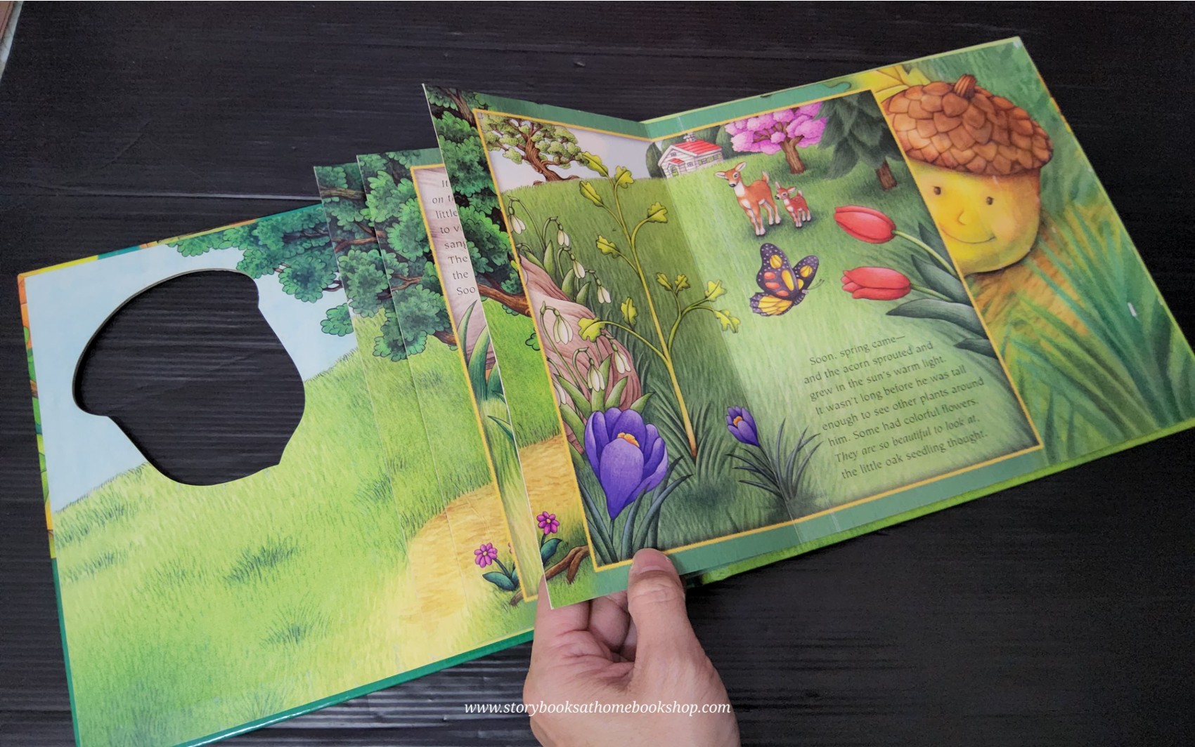 หนังสือนิทานปกแข็ง** 🍅🍅THE ACORN AND THE OAK TREE