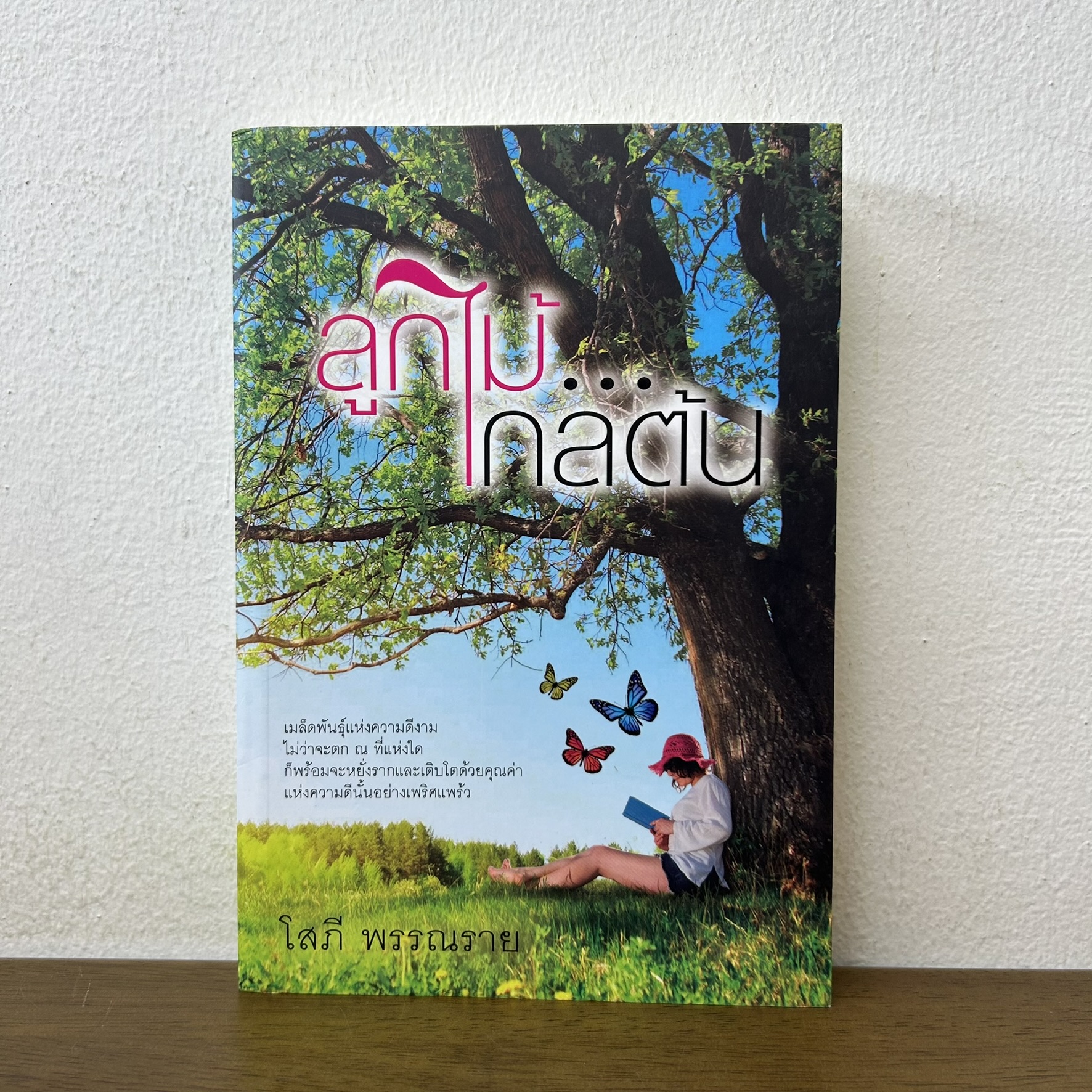ลูกไม้ไกลต้น ... โสภี พรรณราย (มือสอง) นิยาย โรแมนติก แสงดาว