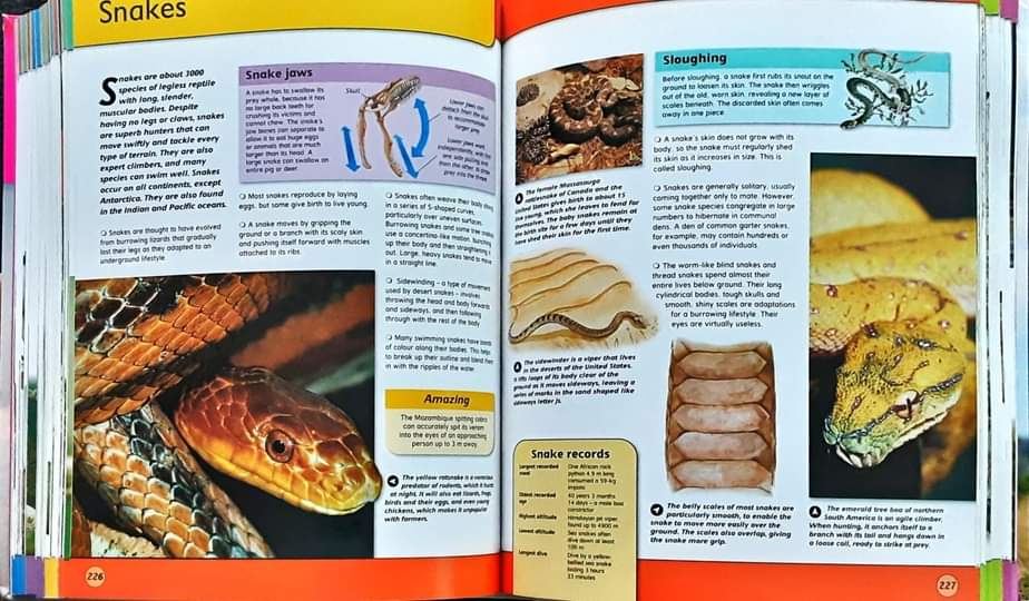 Knowledge Book** ð
ðENCYCLOPEDIA LIFEâĨïļâĨïļ