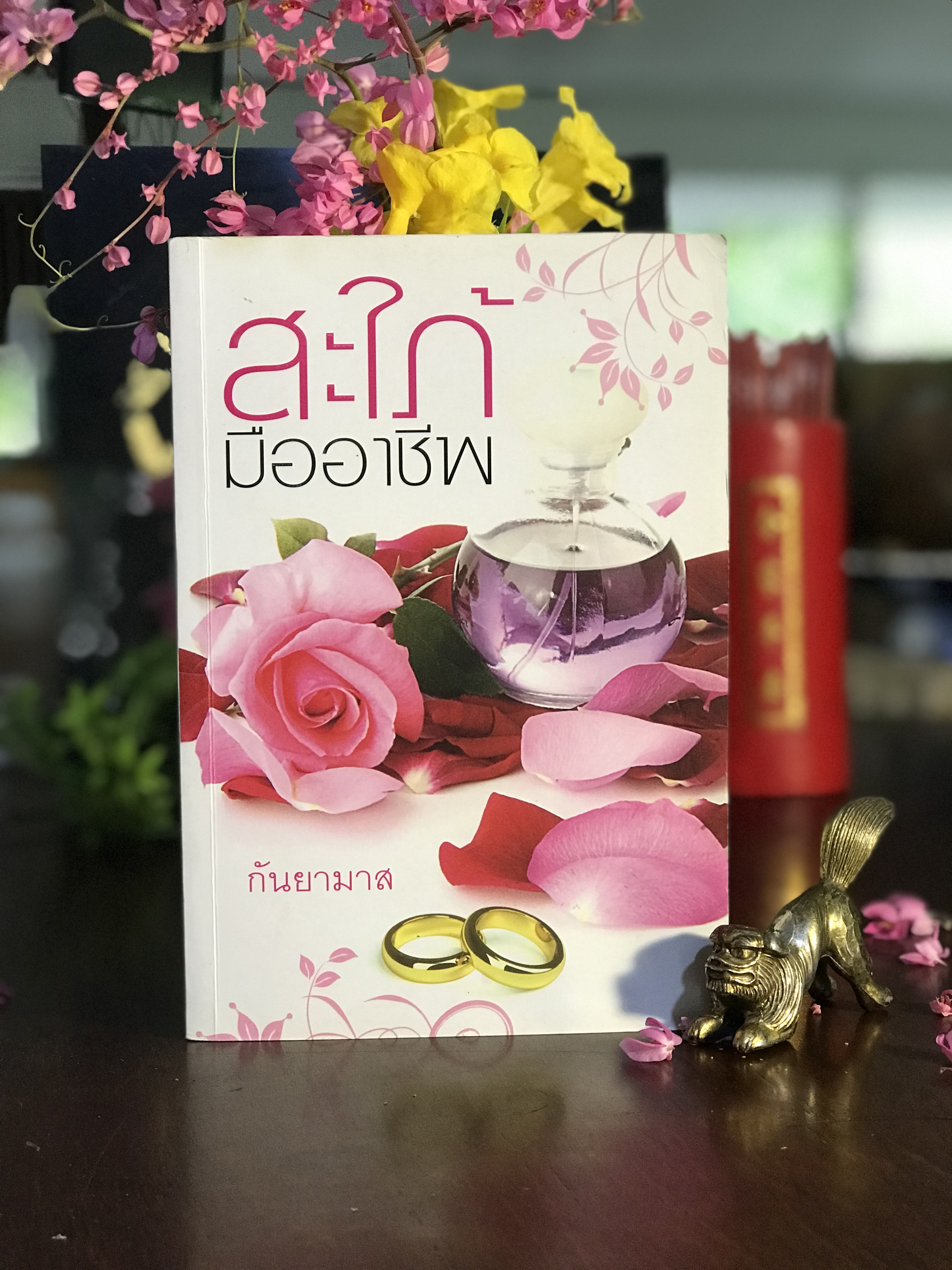 สะใภ้มืออาชีพ ผู้เขียน: กันยามาส สำนักพิมพ์: แสงดาว | H11