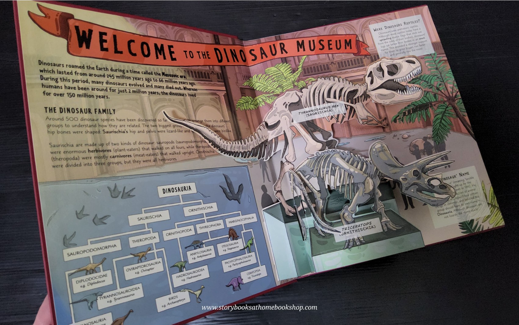 Pop-up Knowledge book ** 🍅🍓 A DAY AT THE DINOSAUR MUSEUM