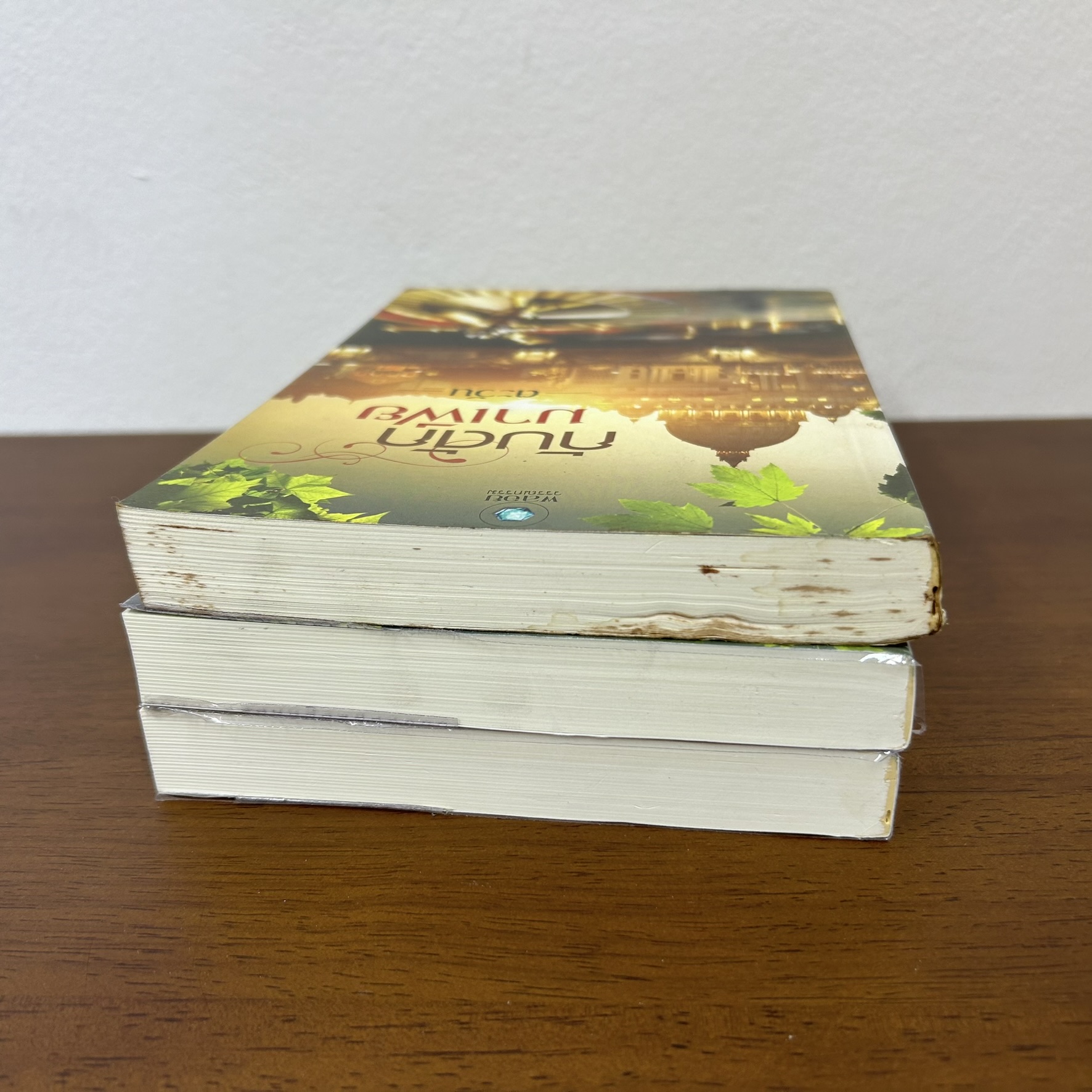 กับดักมาเฟีย ... ตะวัน (มือสอง) นิยาย โรมานซ์ พลอยวรรณกรรม