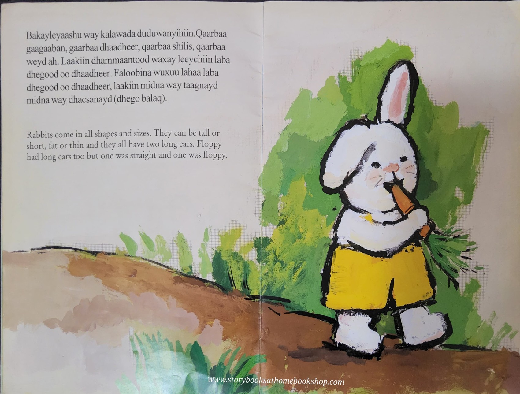 หนังสือนิทานปกอ่อน** 🍅FALOOBI FLOPPY BY GUIDO VAN GENECHTEN